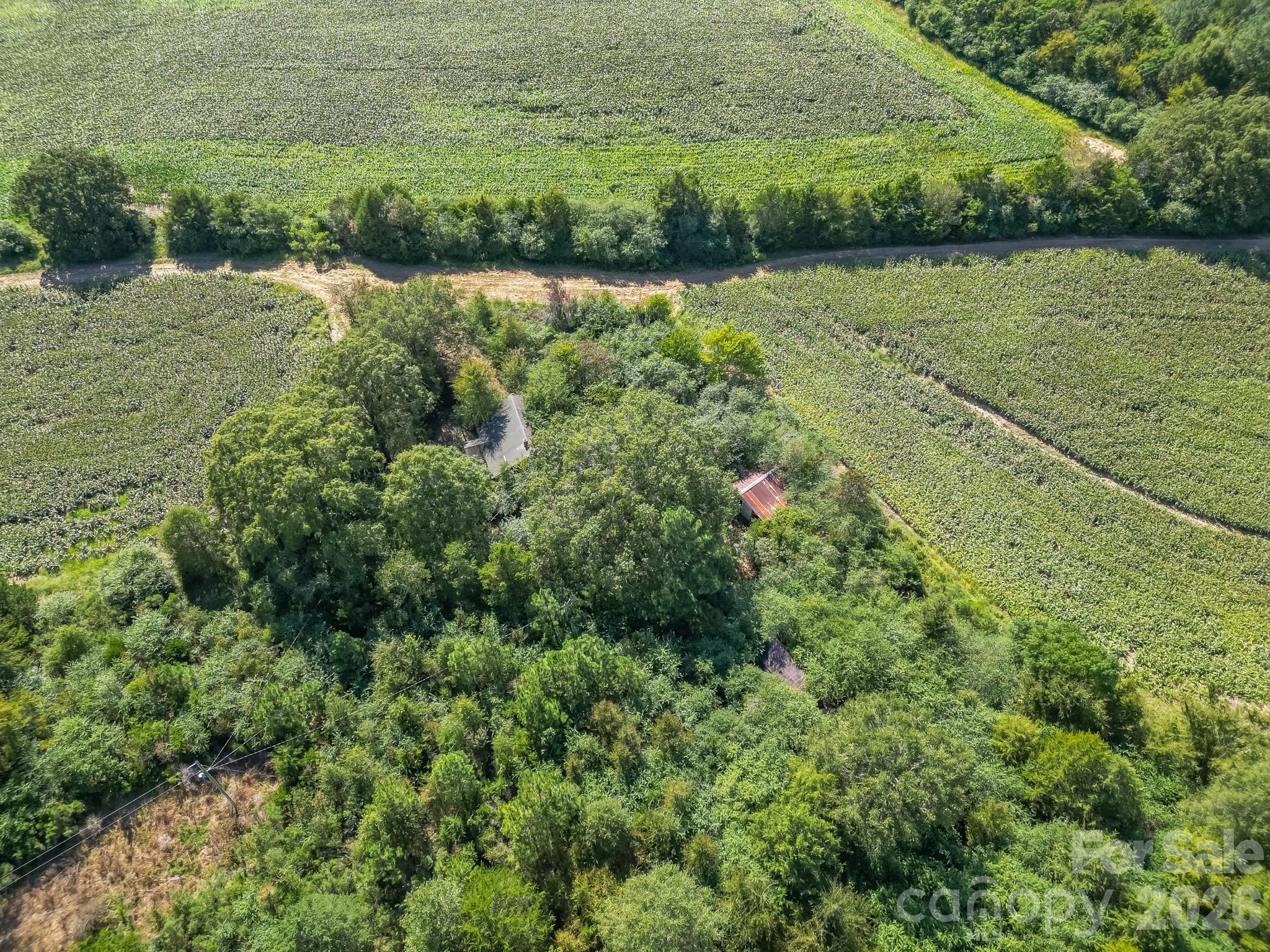 589 Bill Curlee Road Property Photo 7