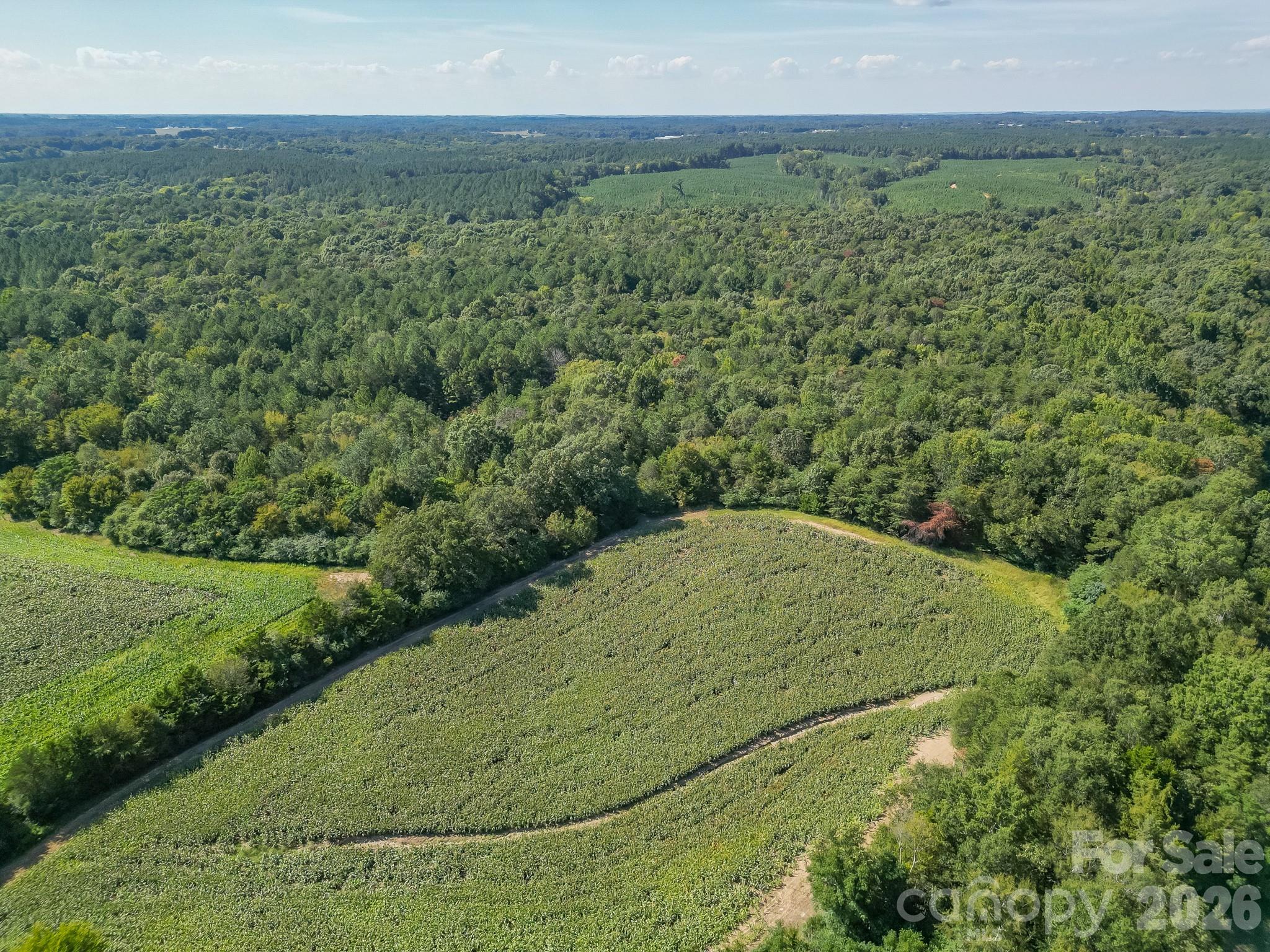 589 Bill Curlee Road Property Photo 8