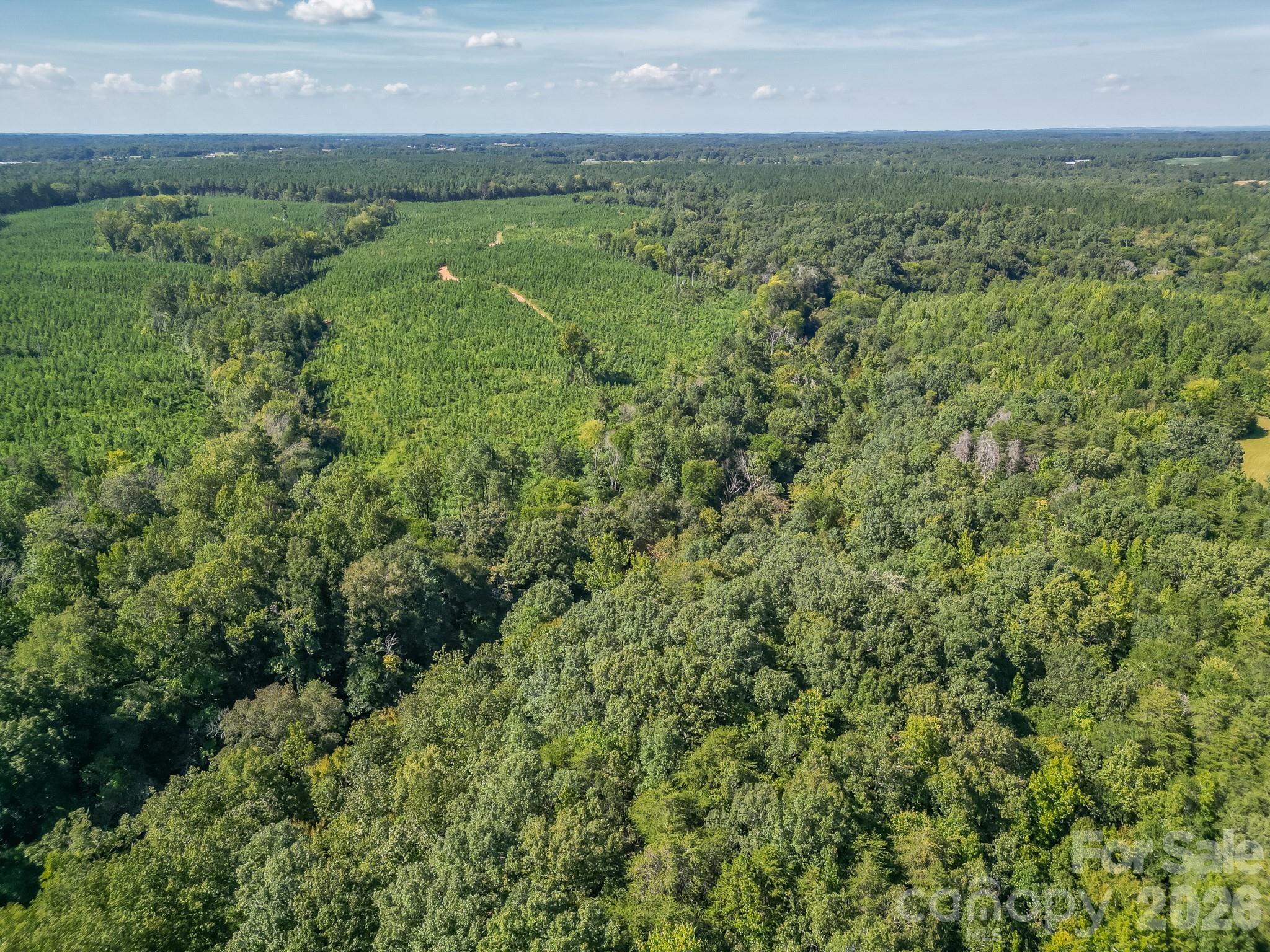 589 Bill Curlee Road Property Photo 9