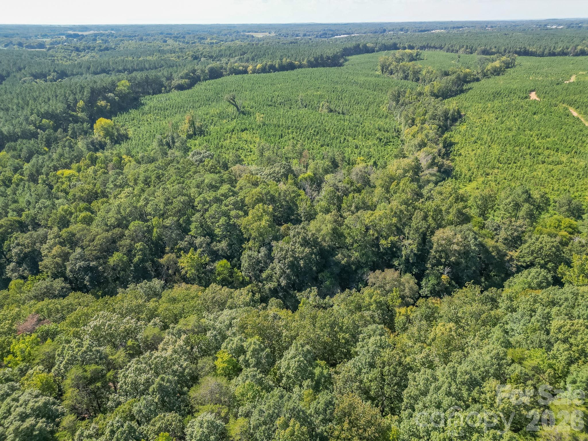 589 Bill Curlee Road Property Photo 10