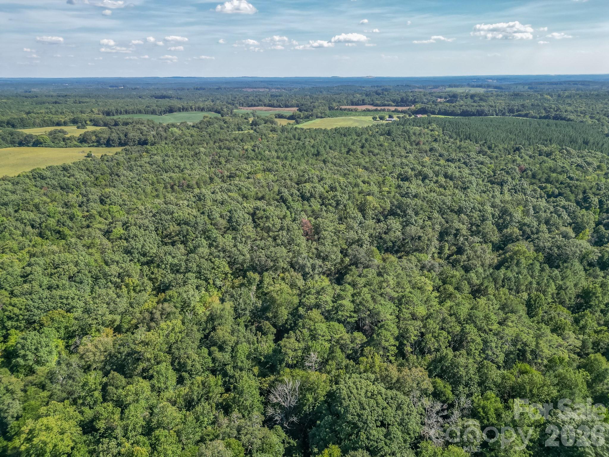 589 Bill Curlee Road Property Photo 12
