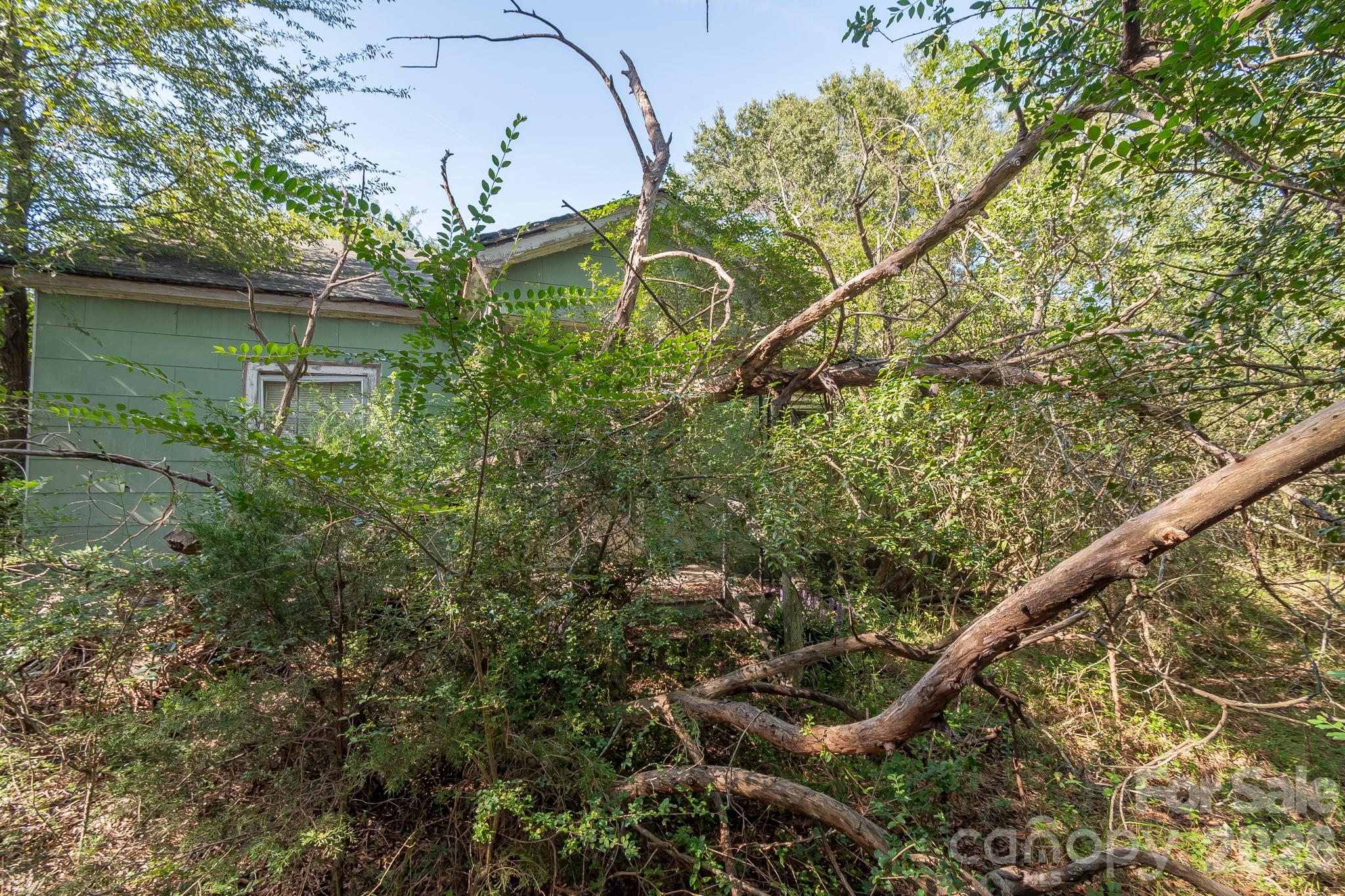 589 Bill Curlee Road Property Photo 26