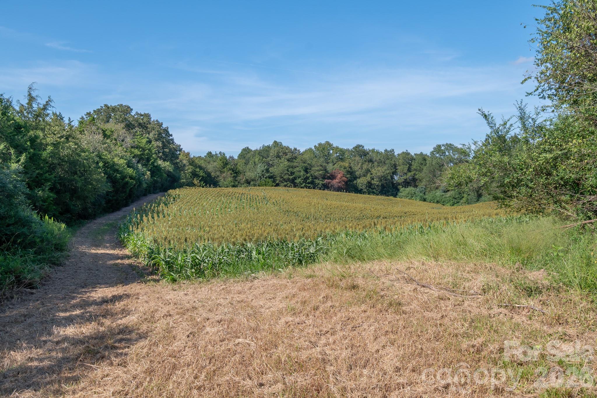 589 Bill Curlee Road Property Photo 27
