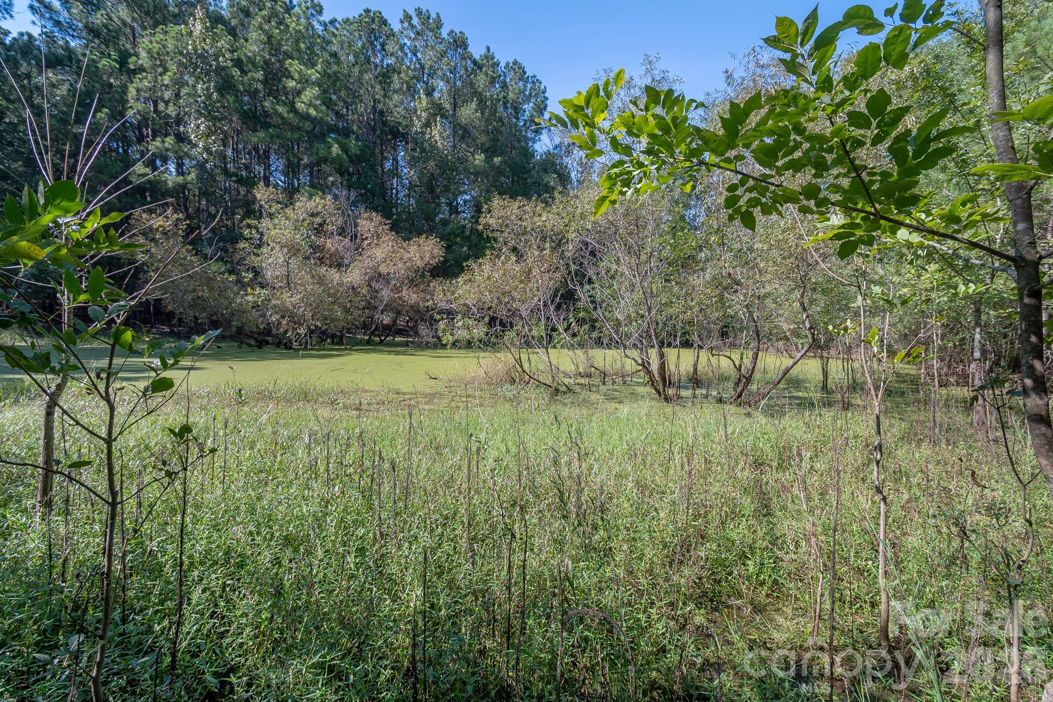 589 Bill Curlee Road Property Photo 28