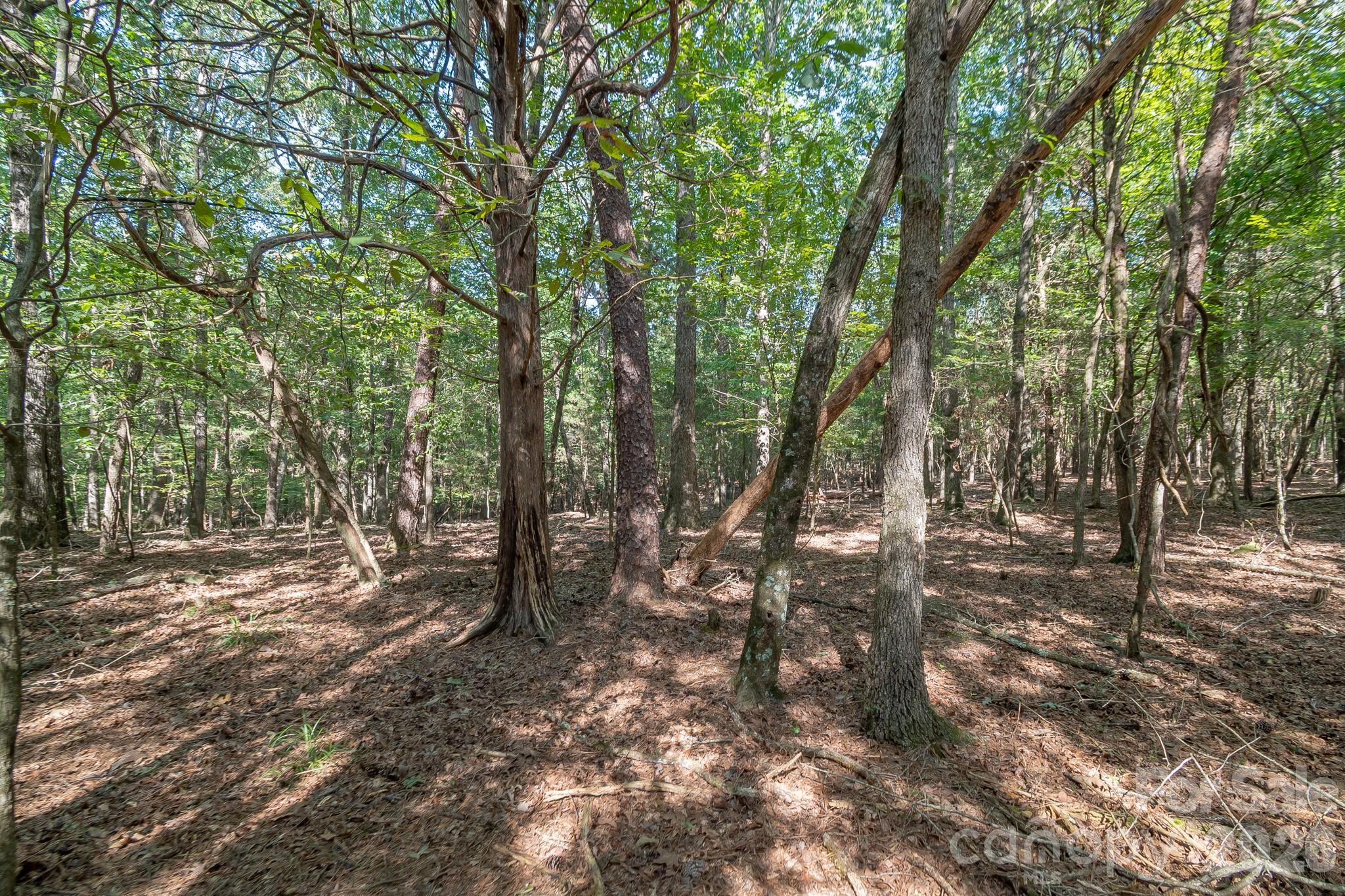 589 Bill Curlee Road Property Photo 29