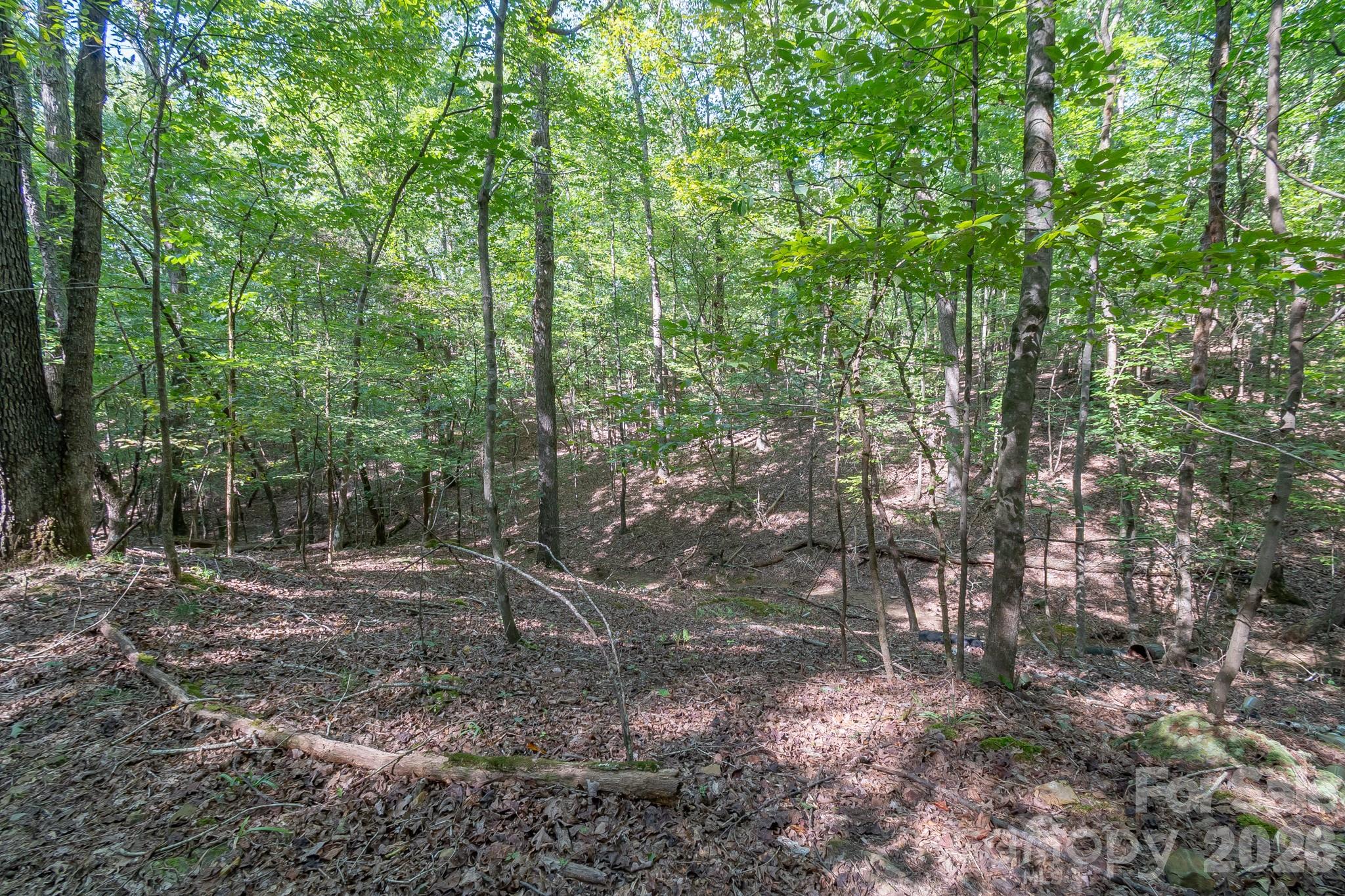 589 Bill Curlee Road Property Photo 30