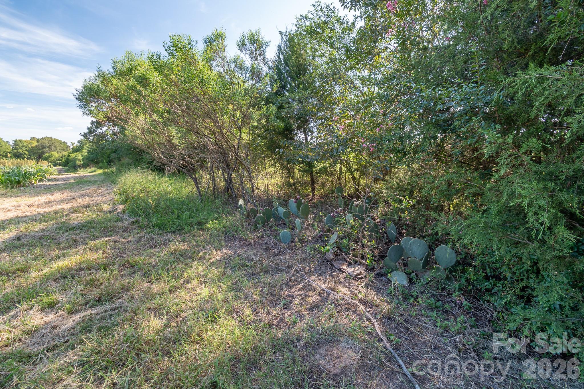 589 Bill Curlee Road Property Photo 31