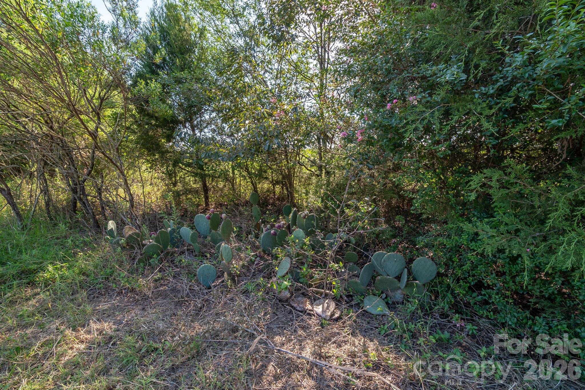 589 Bill Curlee Road Property Photo 32