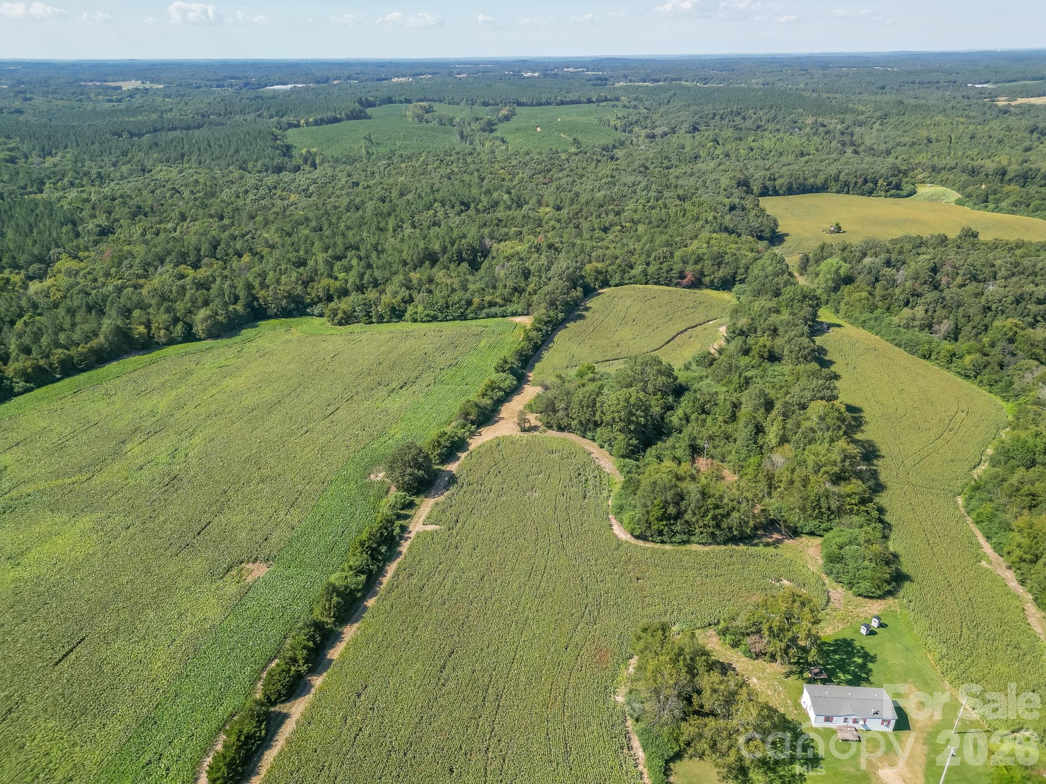 589 Bill Curlee Road Property Photo 33