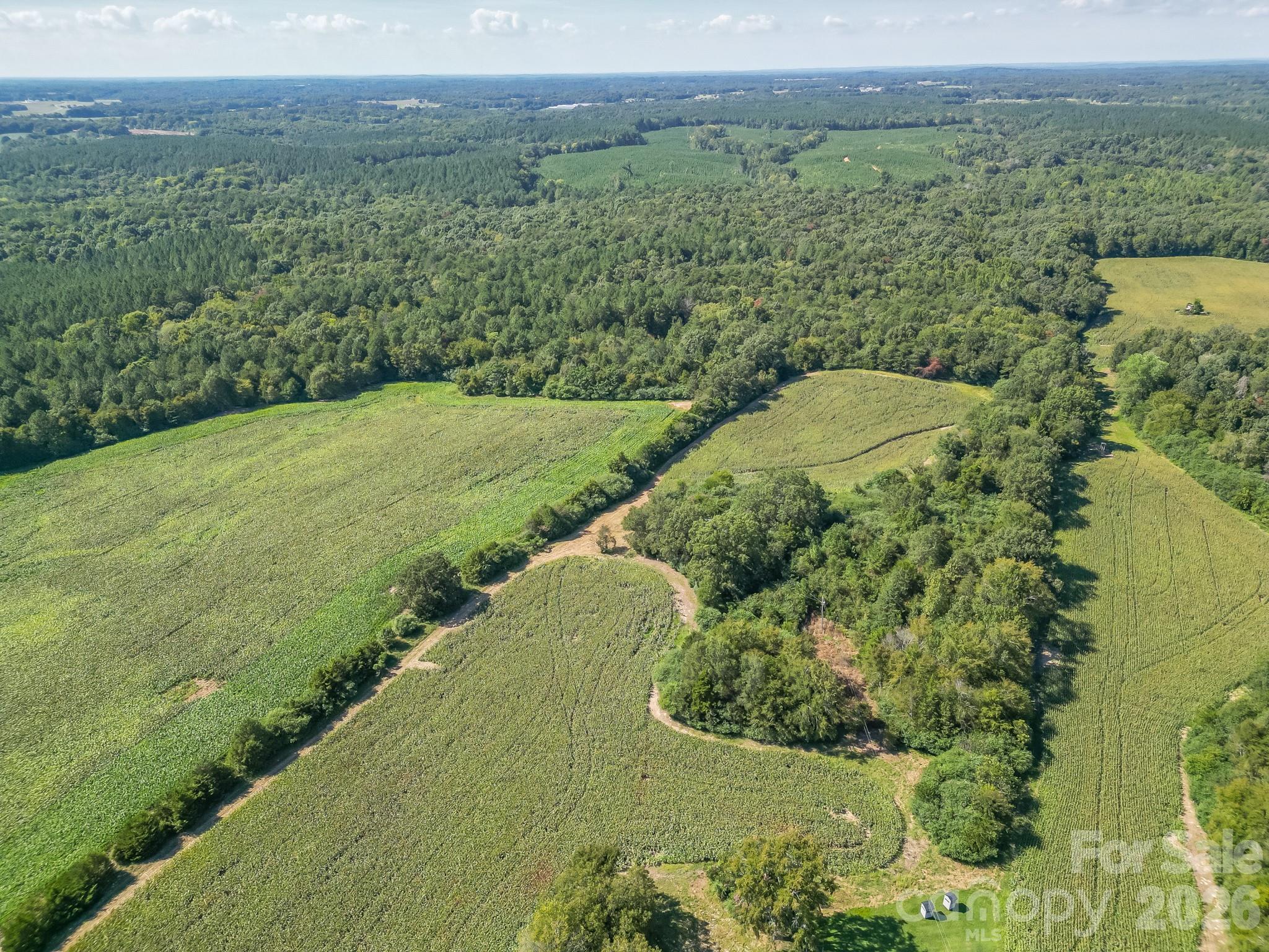 589 Bill Curlee Road Property Photo 34