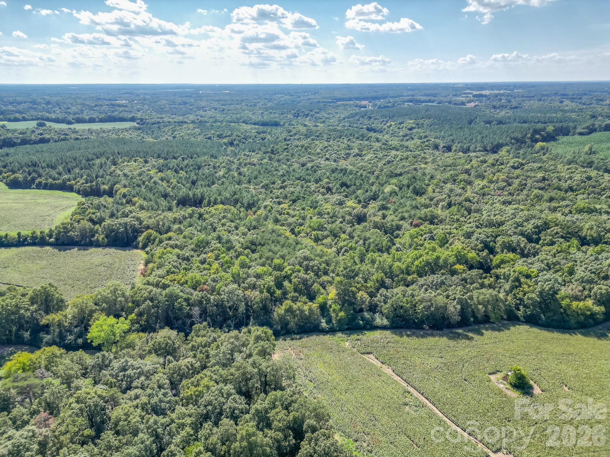 589 Bill Curlee Road Property Photo 40