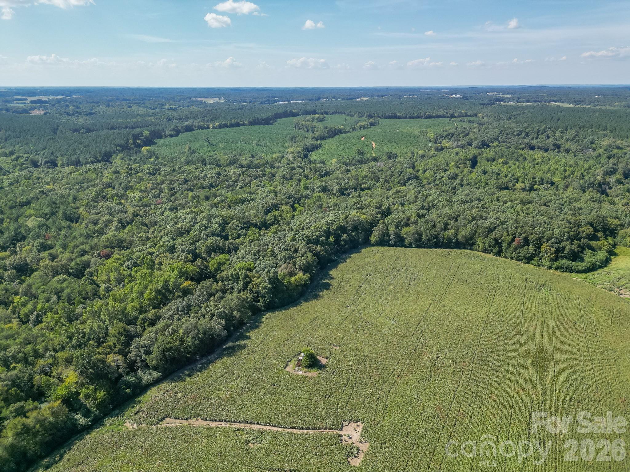 589 Bill Curlee Road Property Photo 41