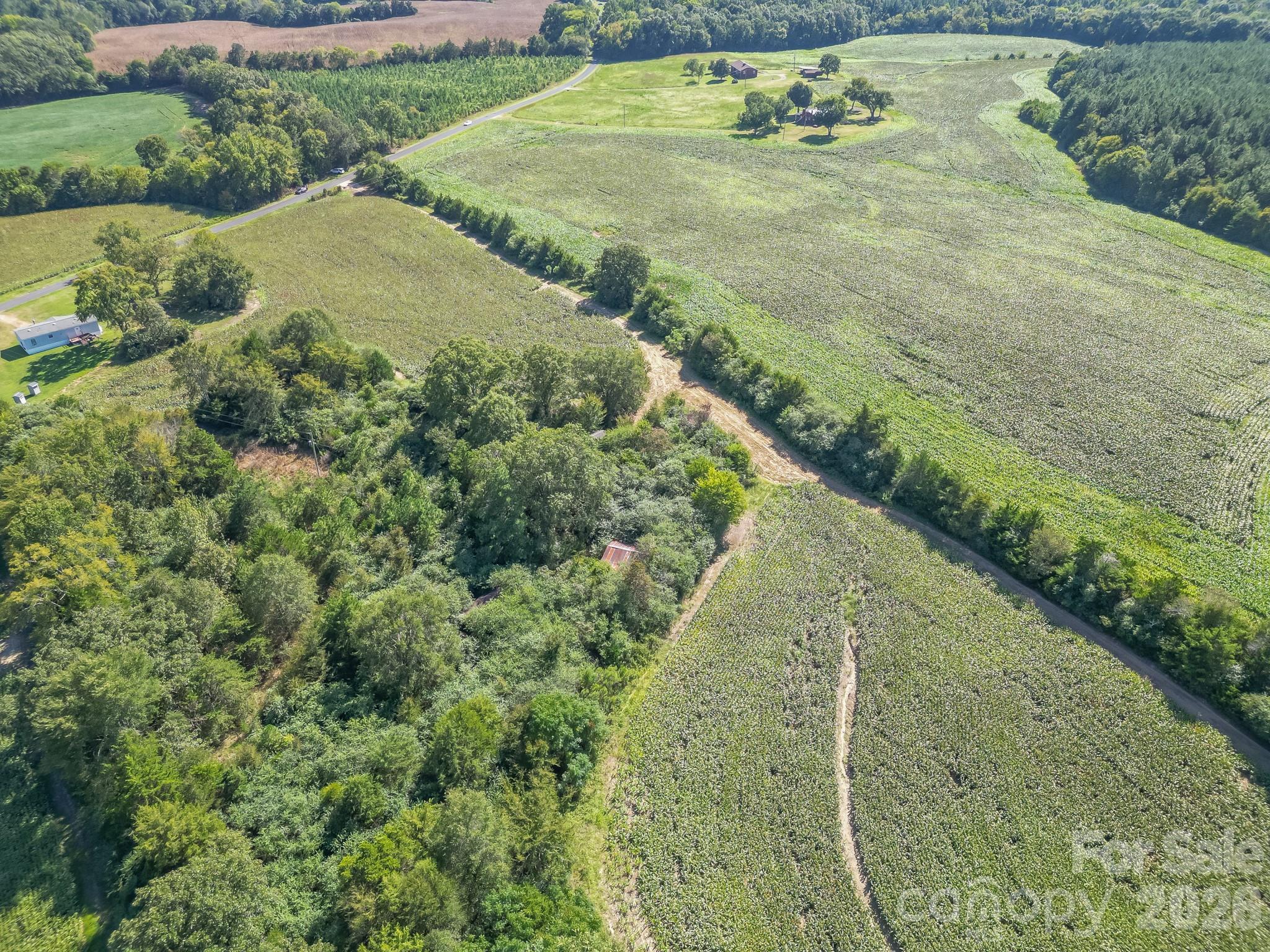 589 Bill Curlee Road Property Photo 42