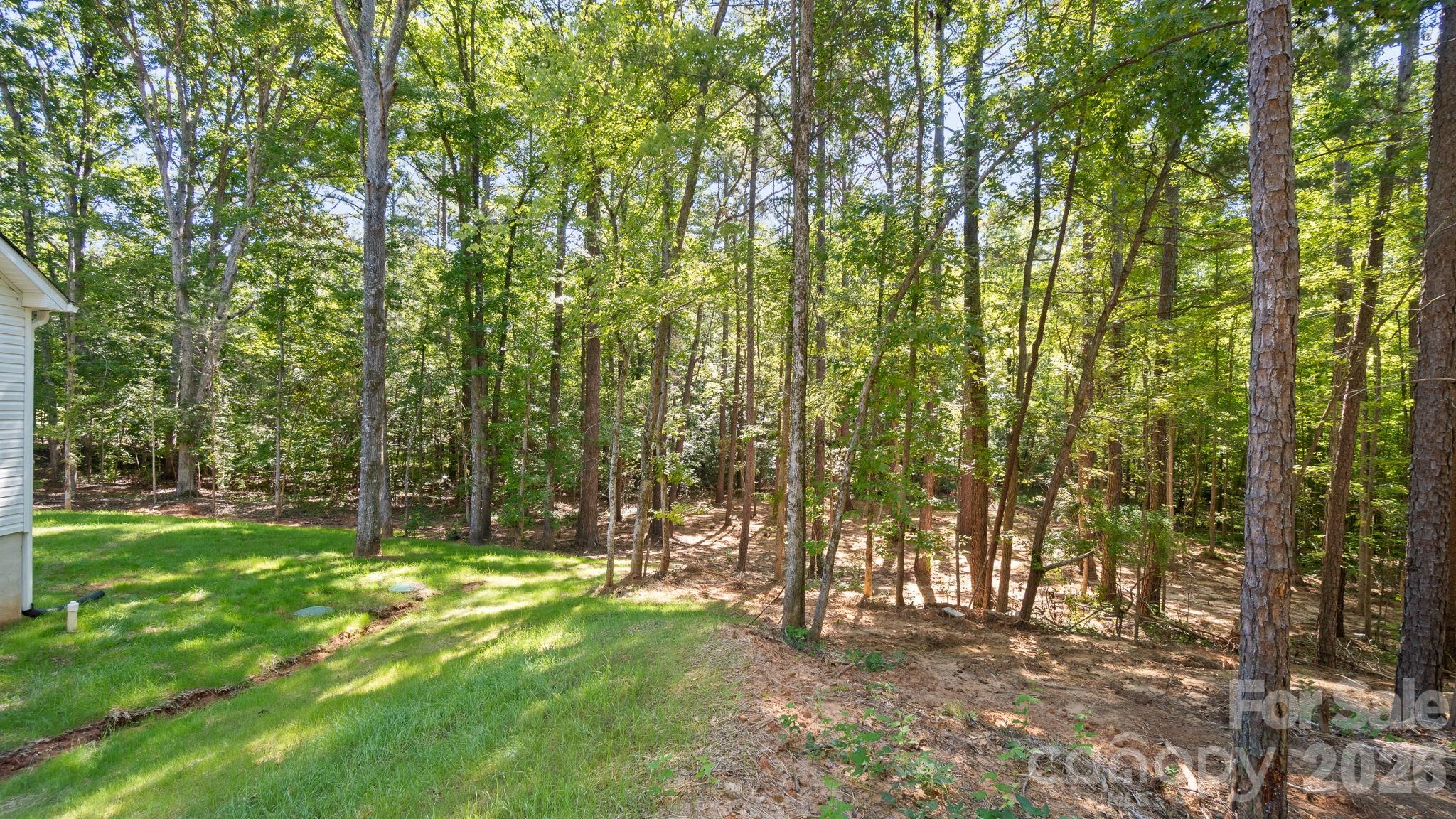 2820 Rock Chimney Circle Property Photo 39