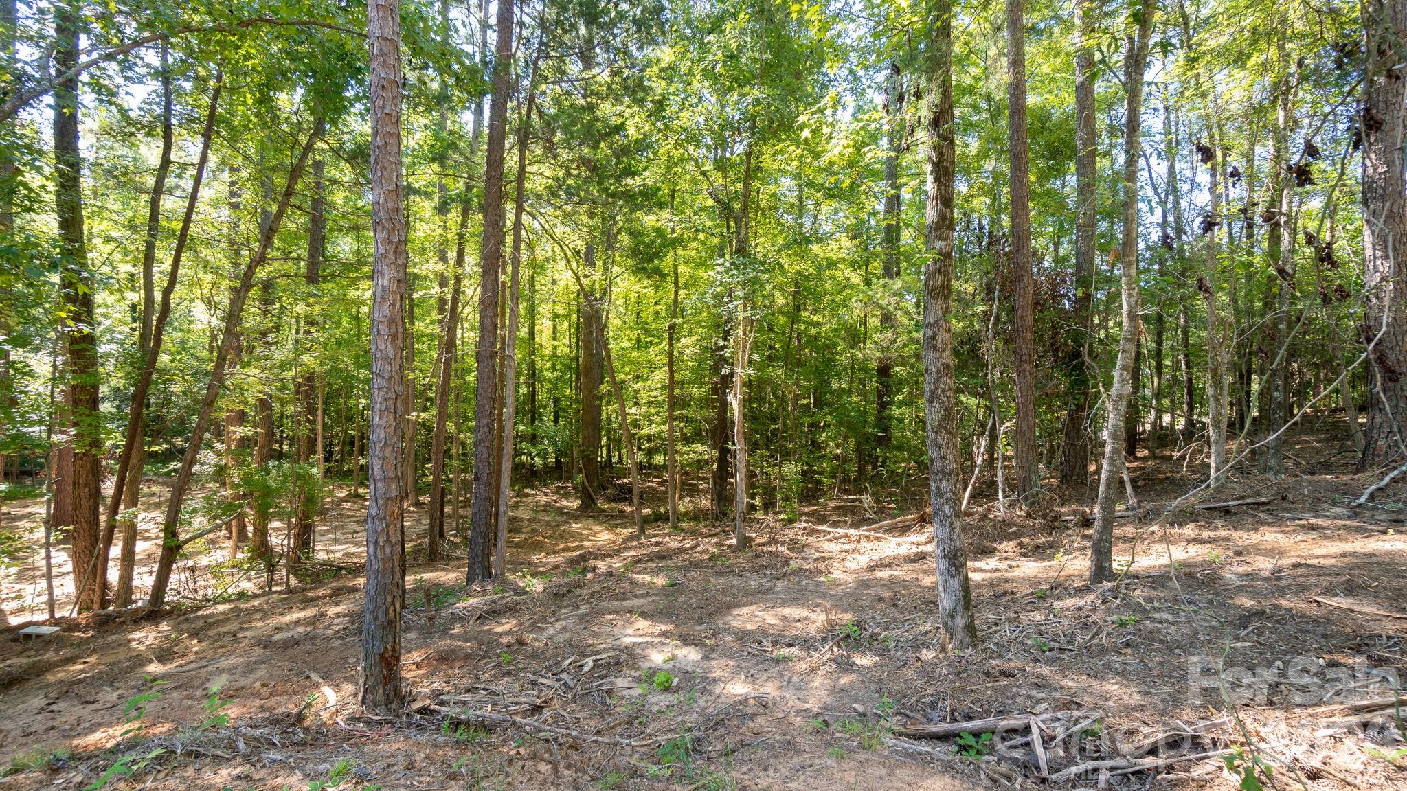 2820 Rock Chimney Circle Property Photo 40