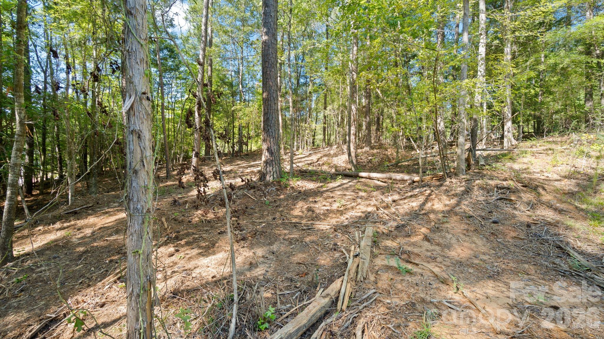 2820 Rock Chimney Circle Property Photo 41
