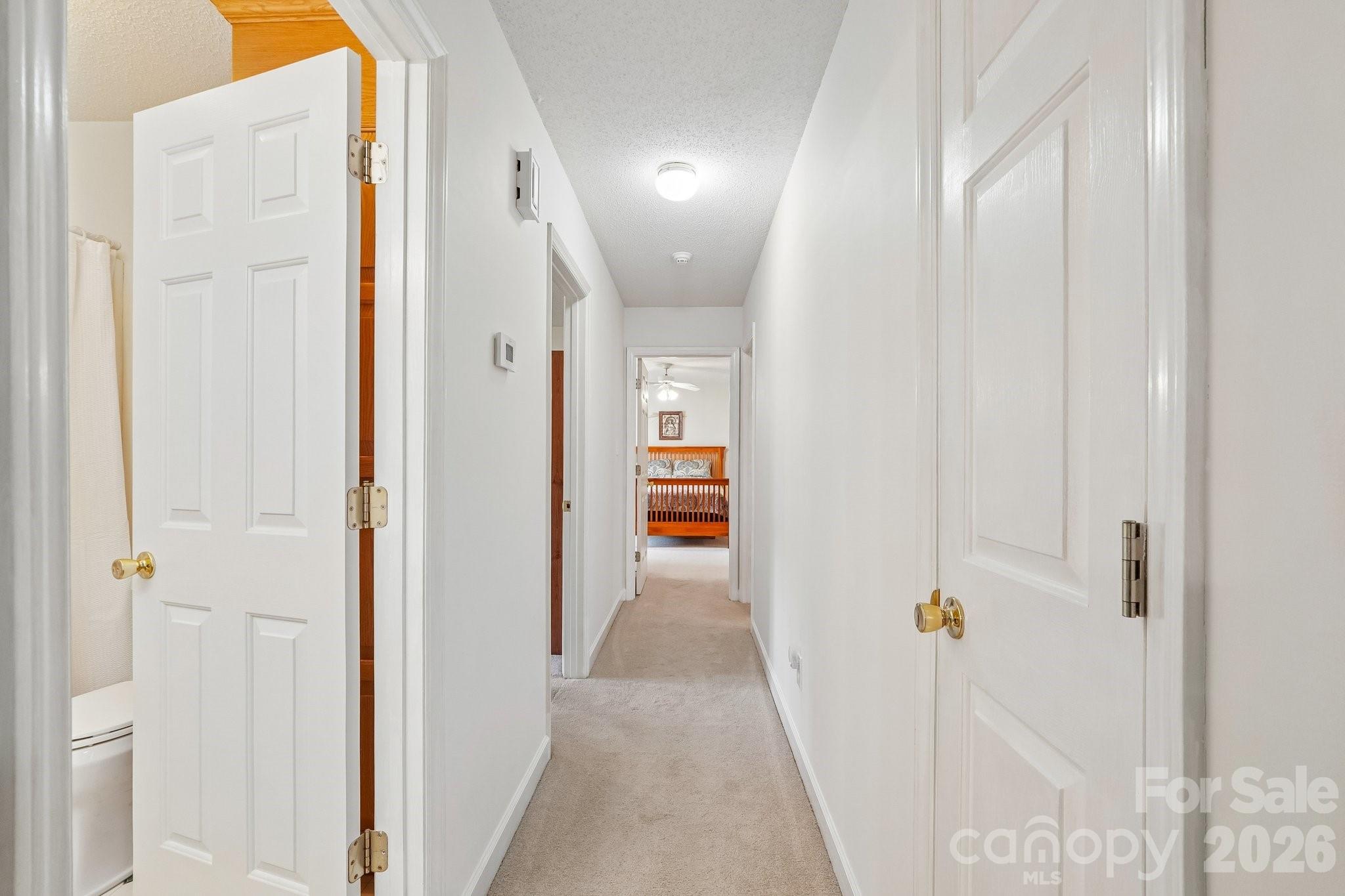 250 Rumple Hill Drive Property Photo 15