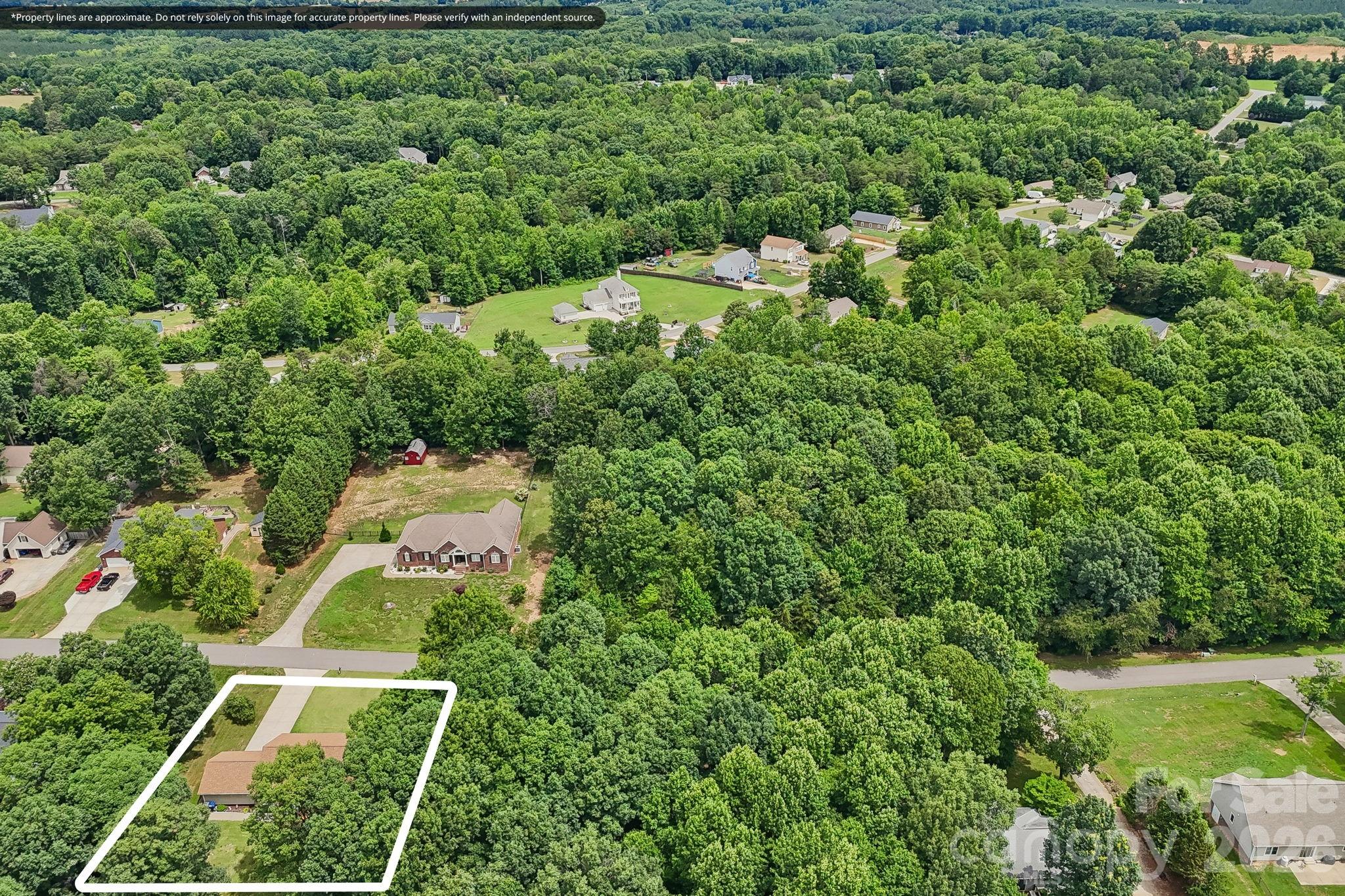 250 Rumple Hill Drive Property Photo 41