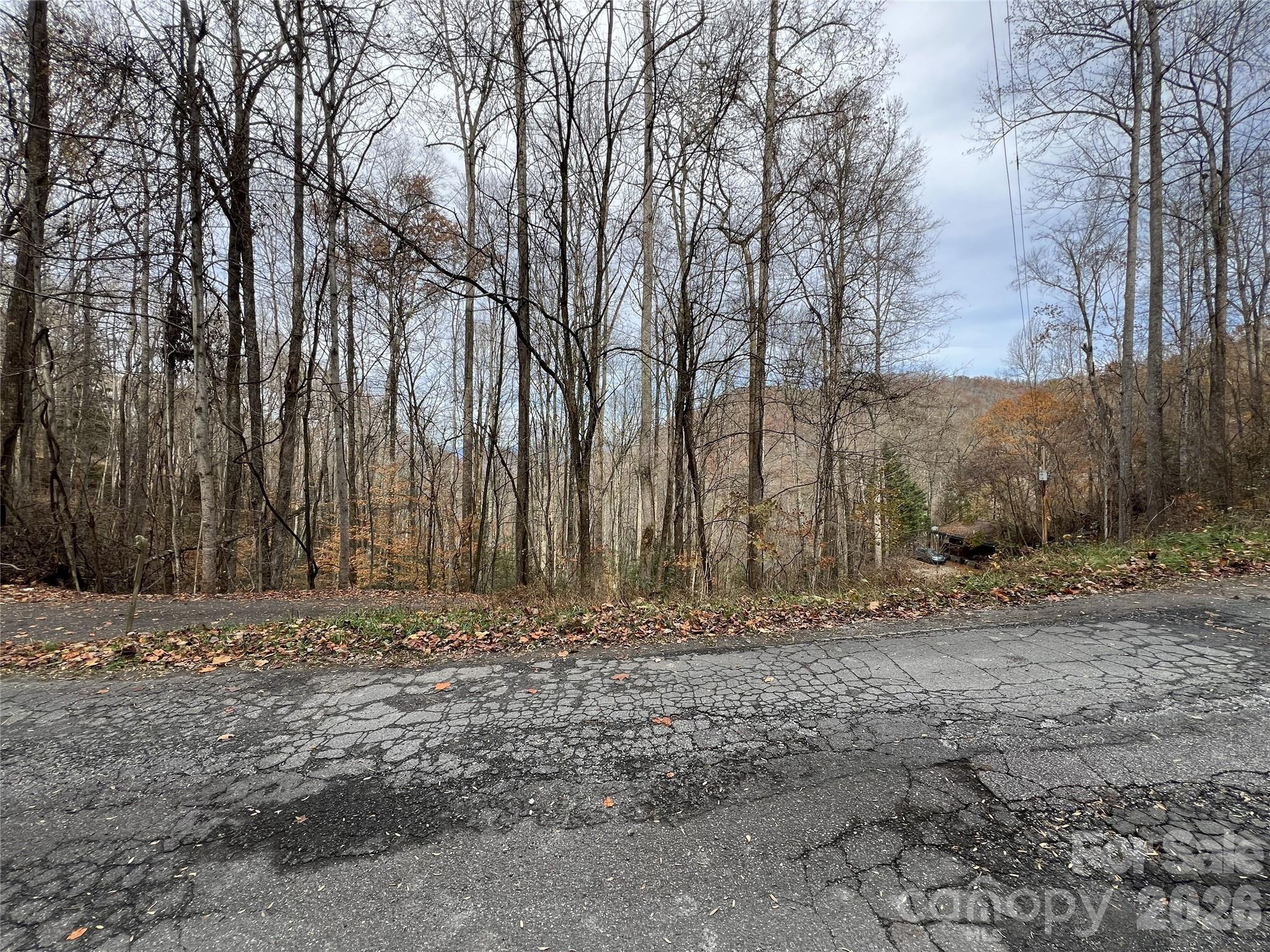 Lot 7 Deer Ridge Road Property Photo 1