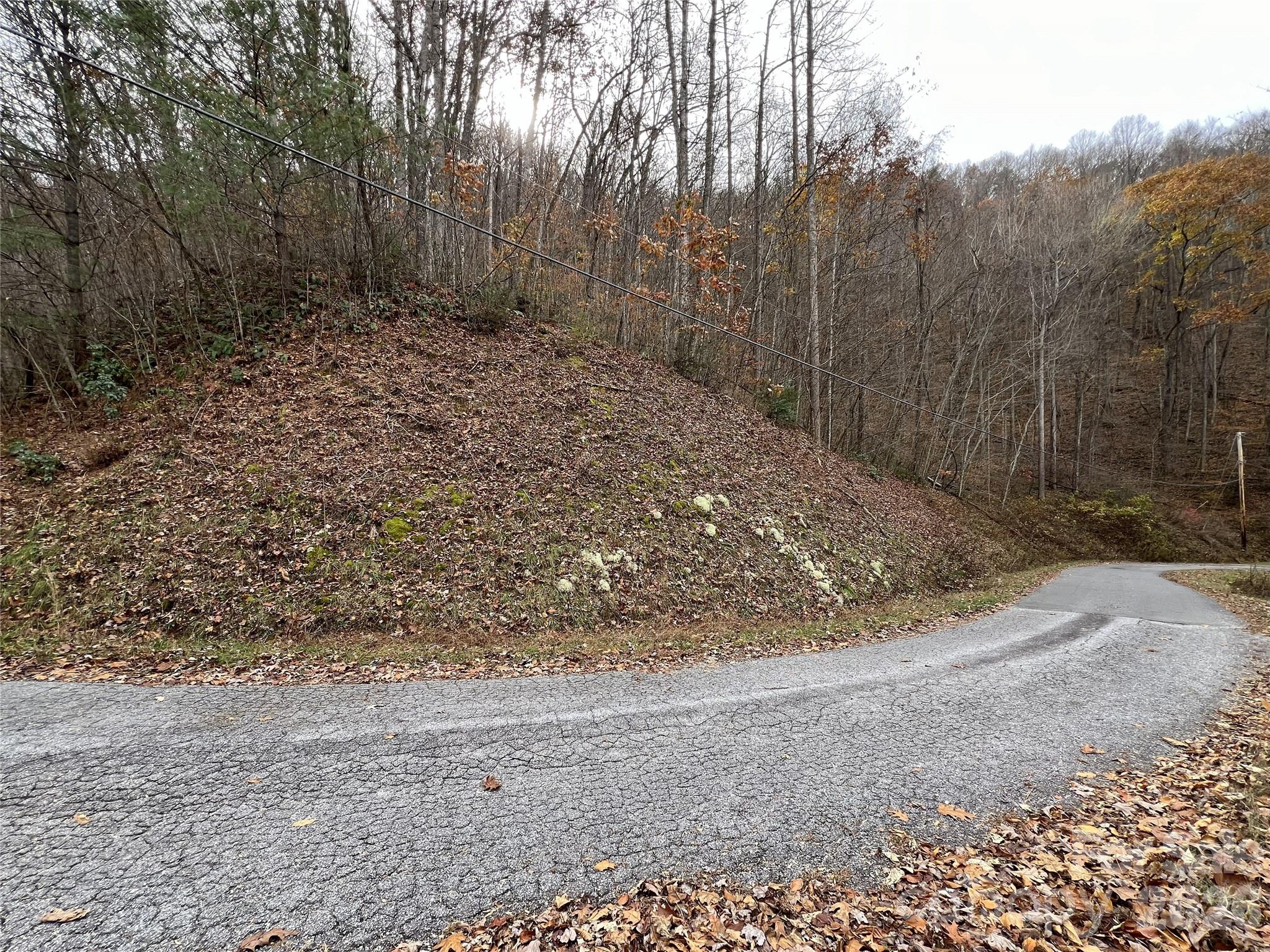 Lot 7 Deer Ridge Road Property Photo 2