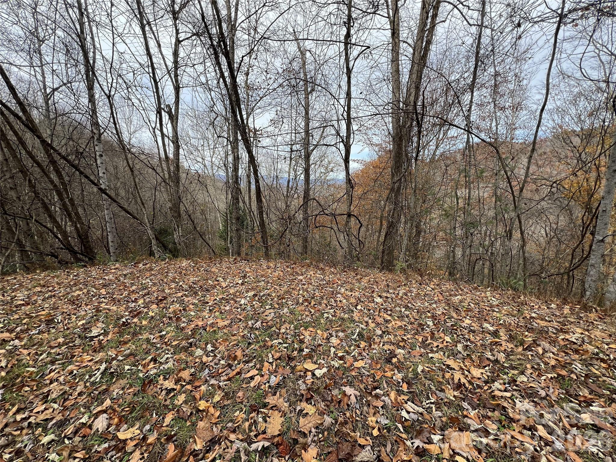 Lot 7 Deer Ridge Road Property Photo 3