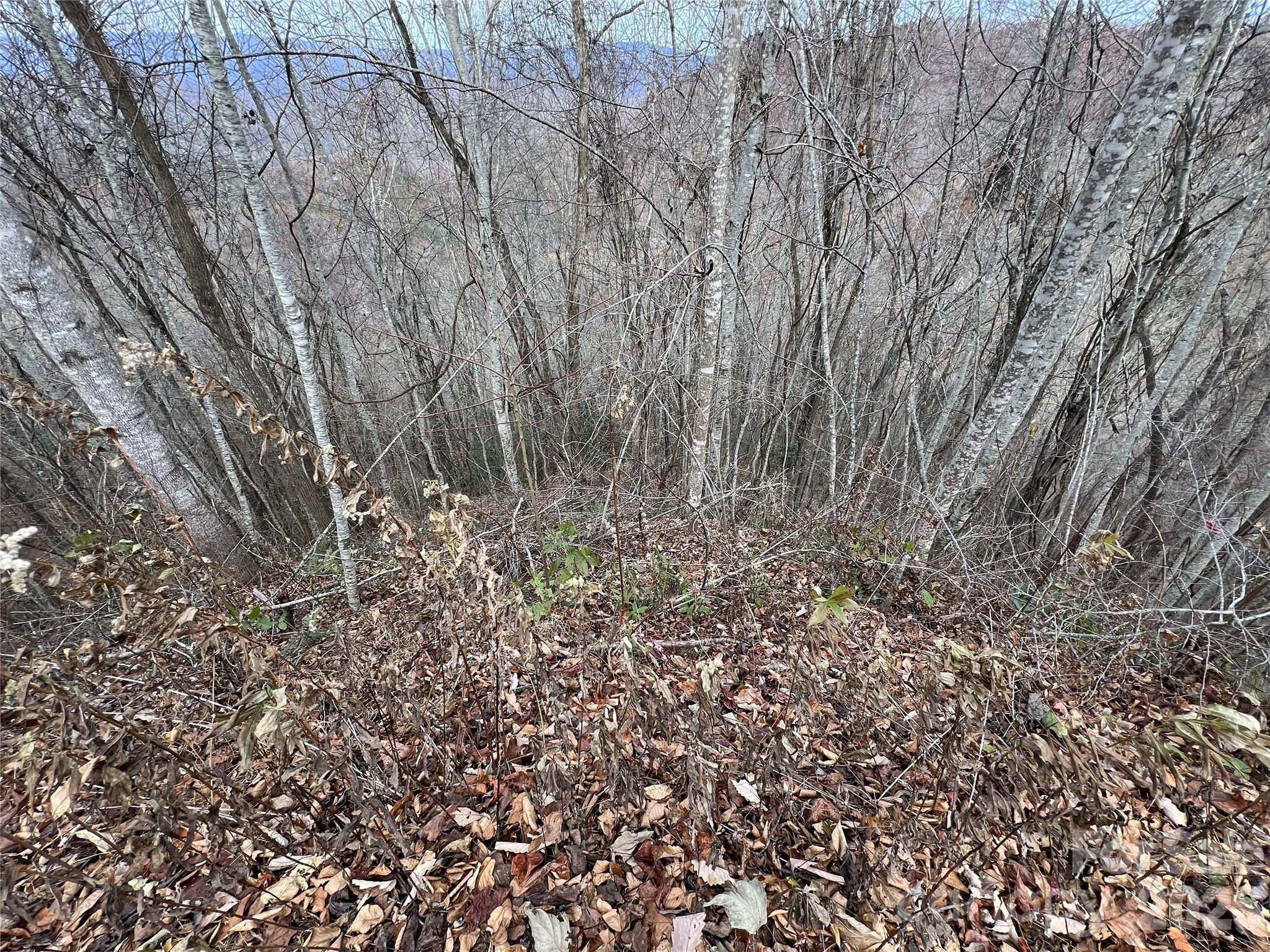 Lot 7 Deer Ridge Road Property Photo 4