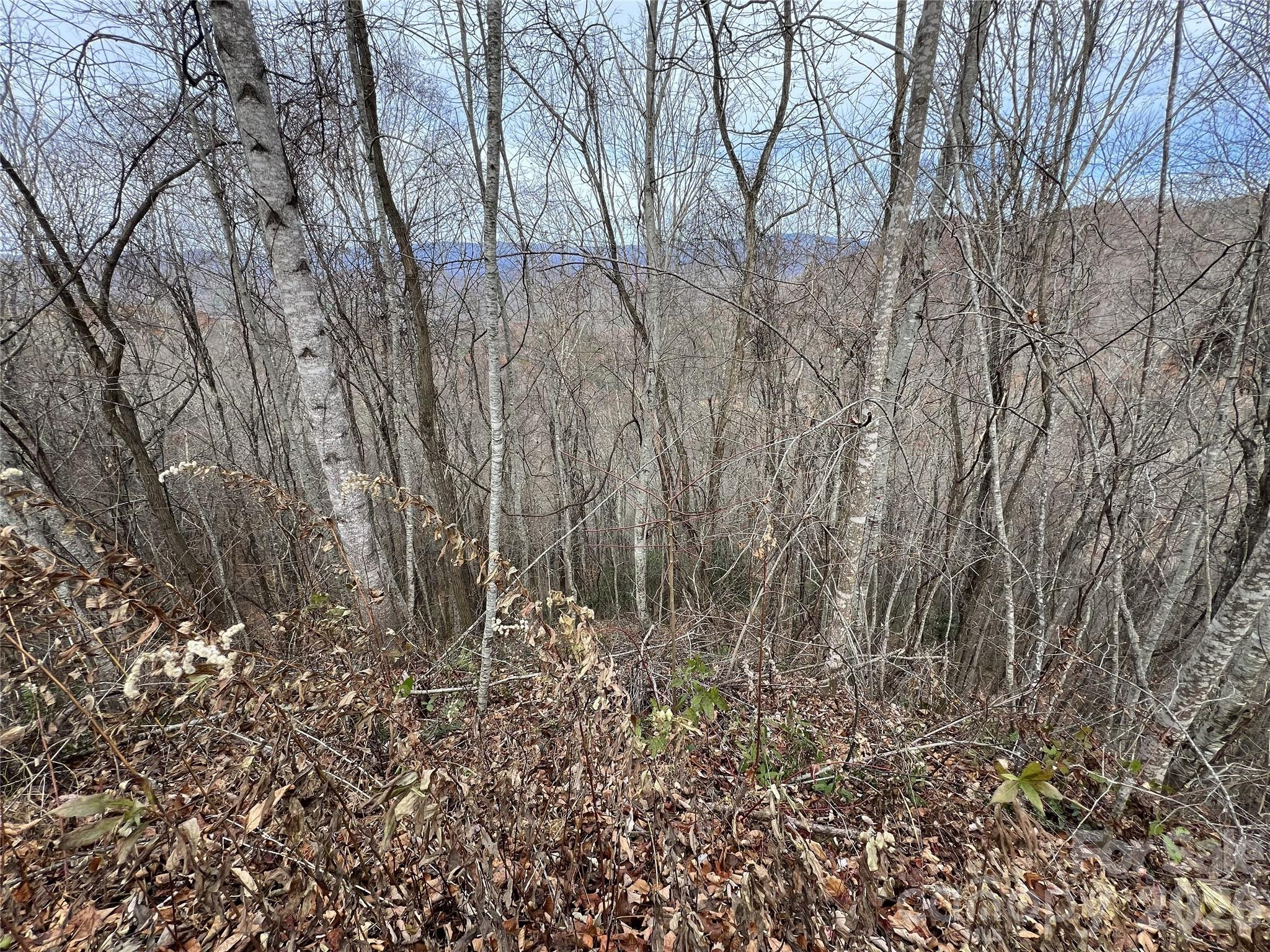 Lot 7 Deer Ridge Road Property Photo 5