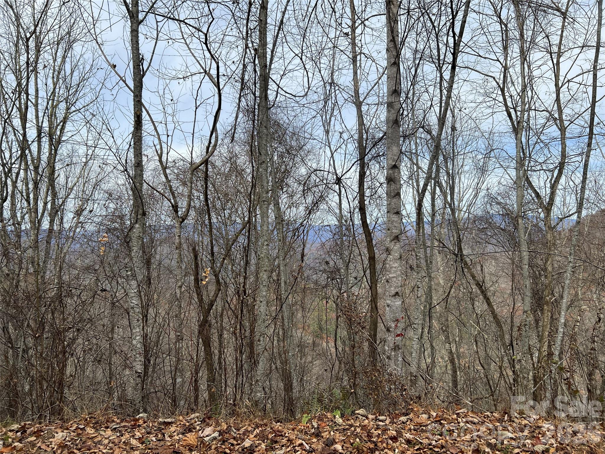 Lot 7 Deer Ridge Road Property Photo 6