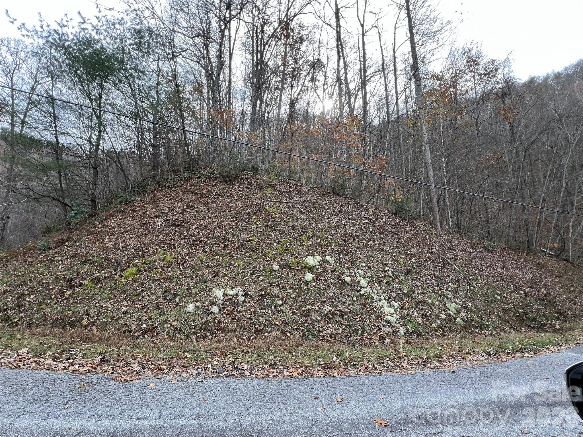 Lot 7 Deer Ridge Road Property Photo 7