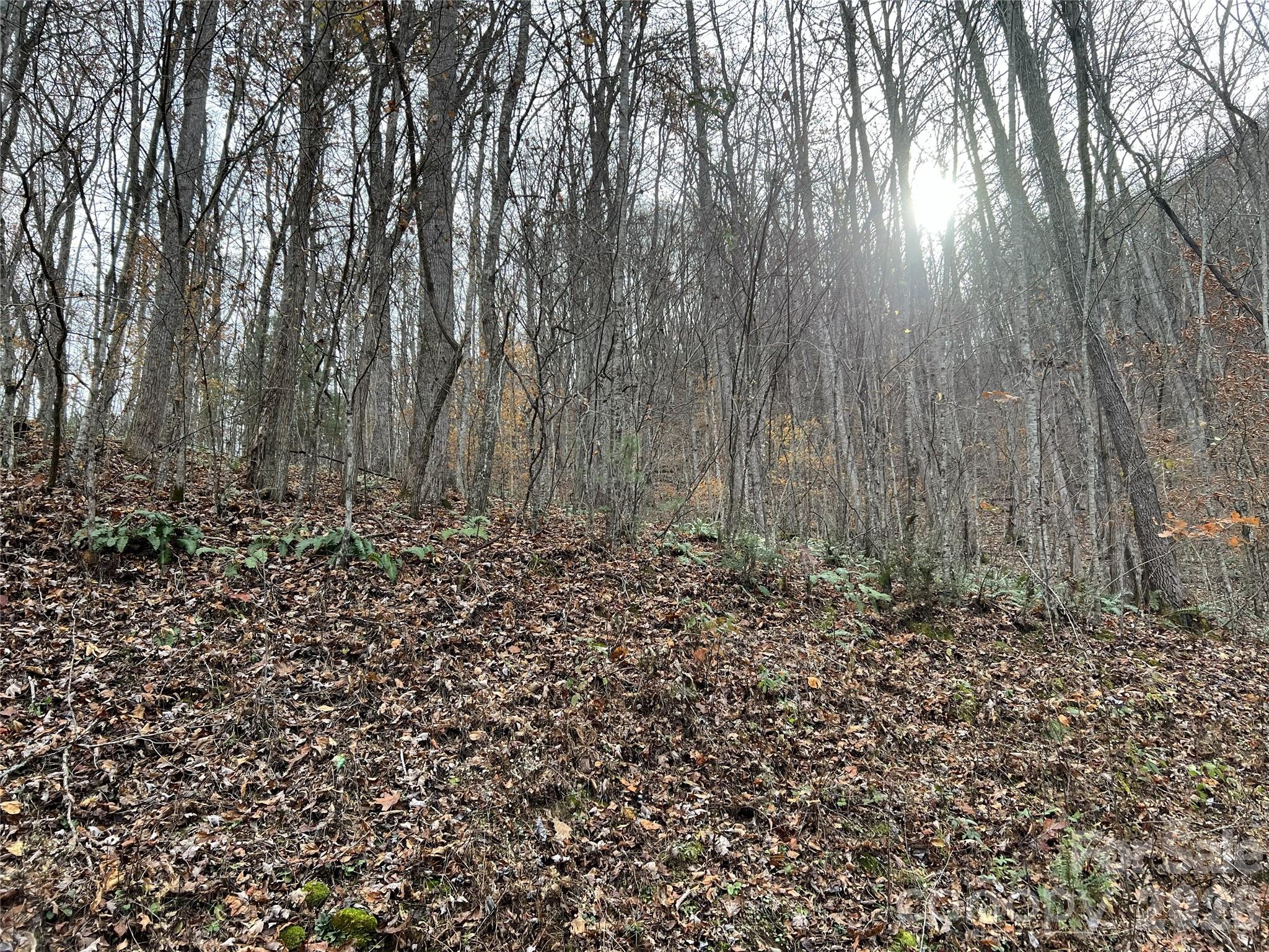 Lot 7 Deer Ridge Road Property Photo 8