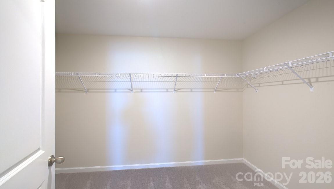 95 Piney Woods Road Property Photo 19