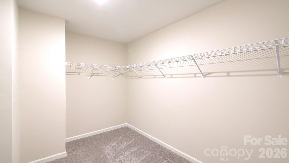 95 Piney Woods Road Property Photo 20