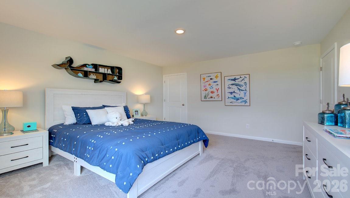 95 Piney Woods Road Property Photo 26