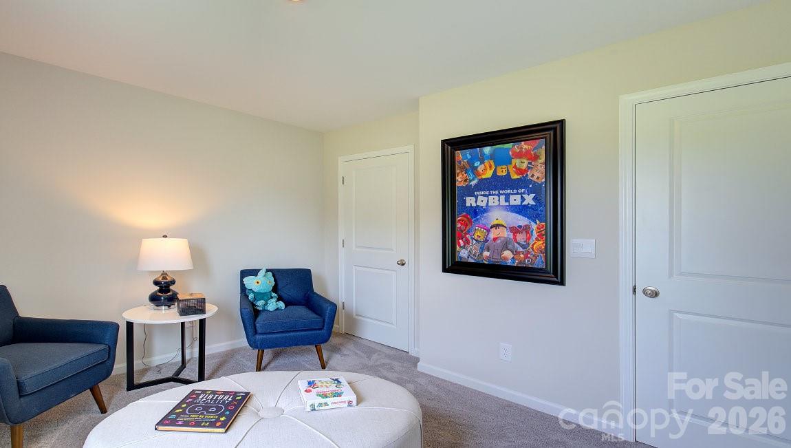 95 Piney Woods Road Property Photo 34