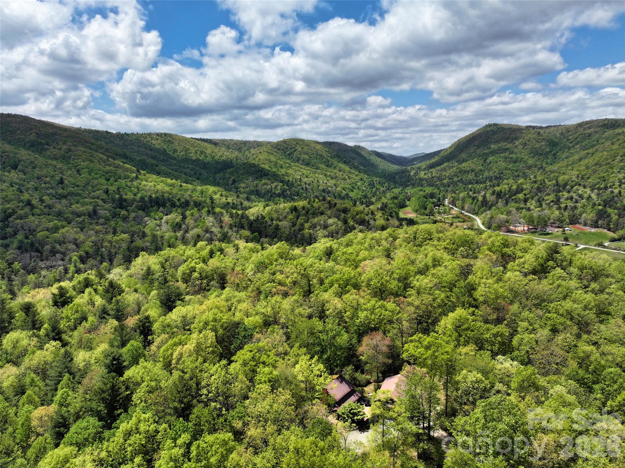 688 Blueberry Farm Road Property Photo 47