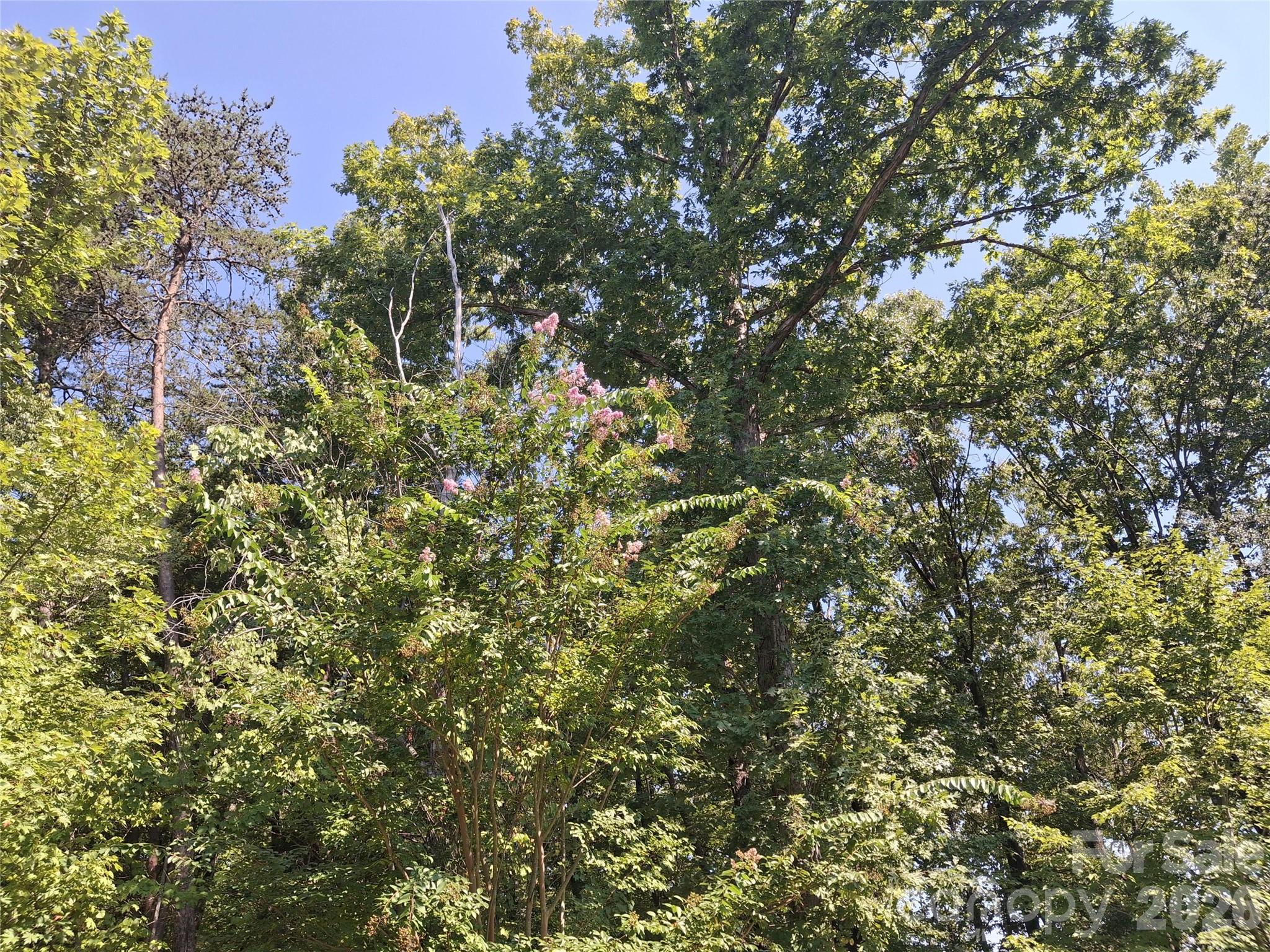 551 Paul Ford Road Property Photo 1