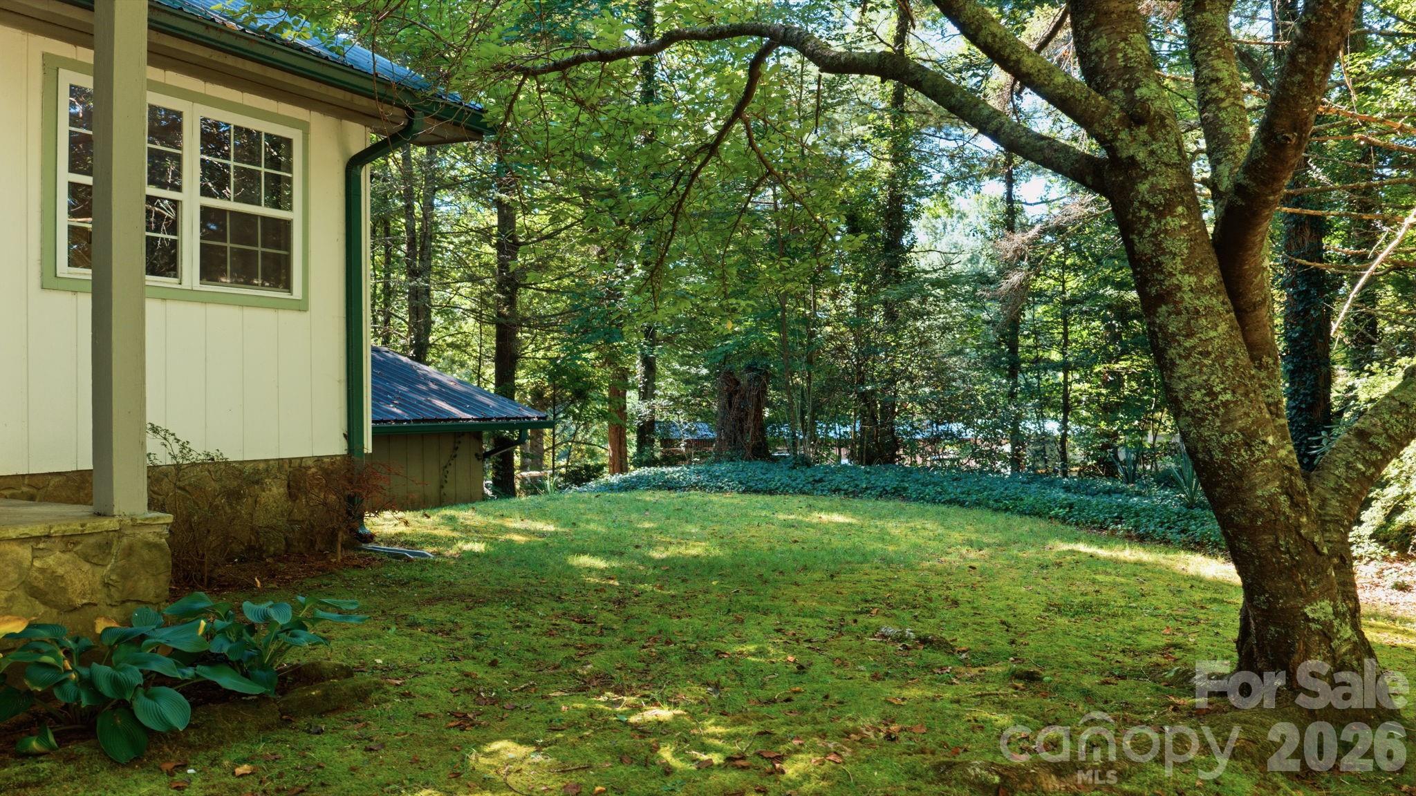 97 Walter Mcneely Road Property Photo 41