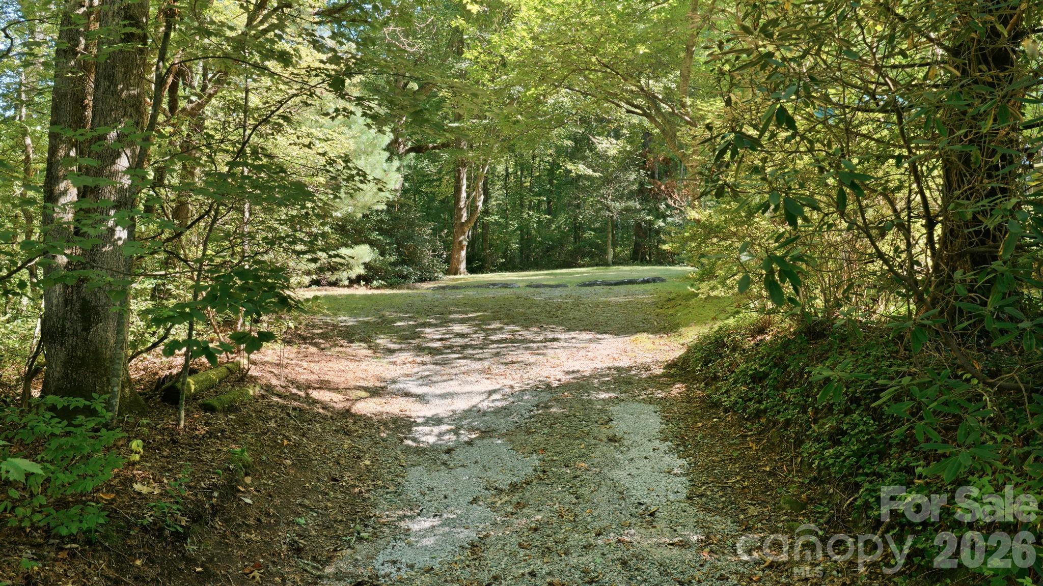 97 Walter Mcneely Road Property Photo 44