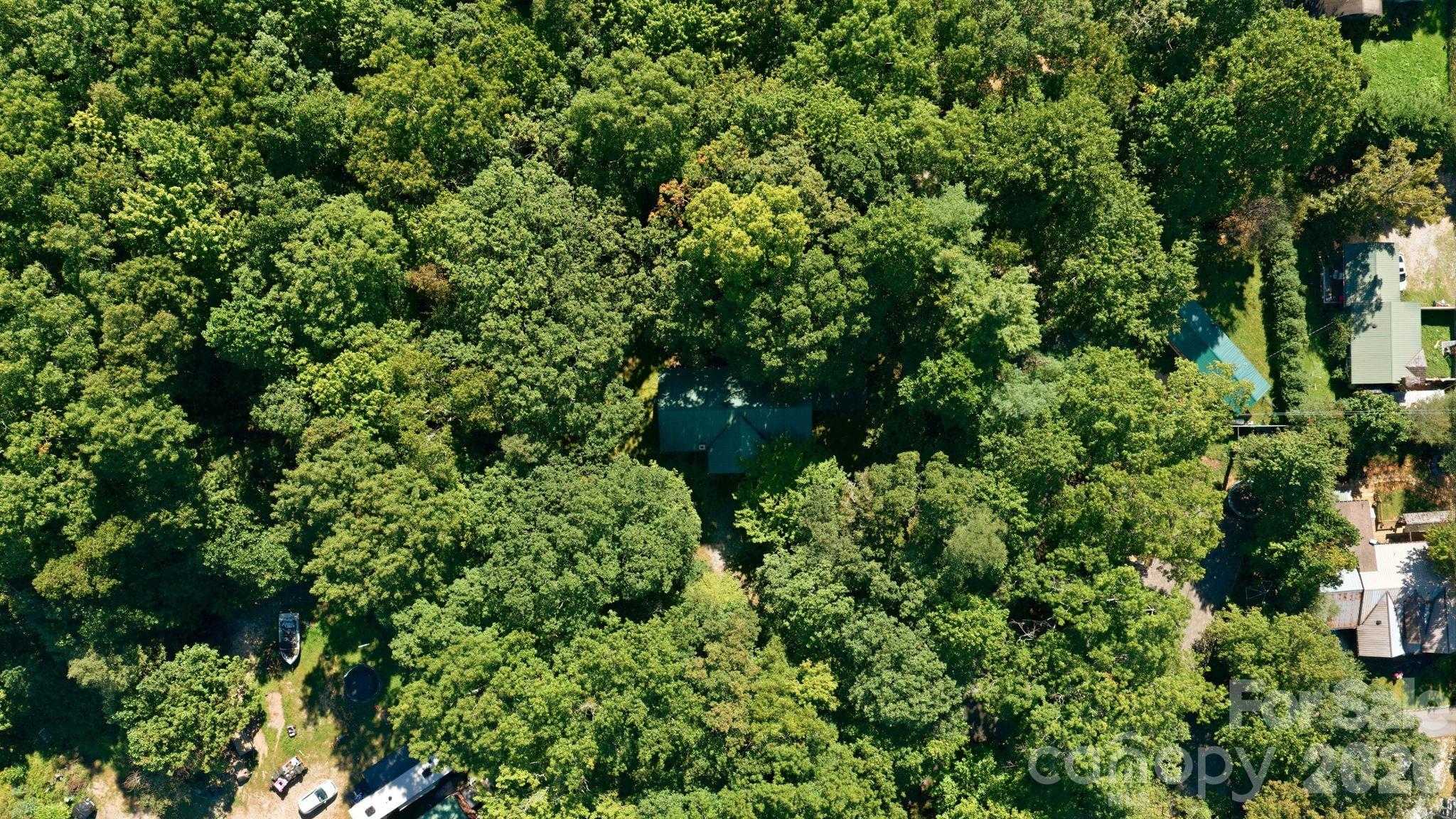 97 Walter Mcneely Road Property Photo 46