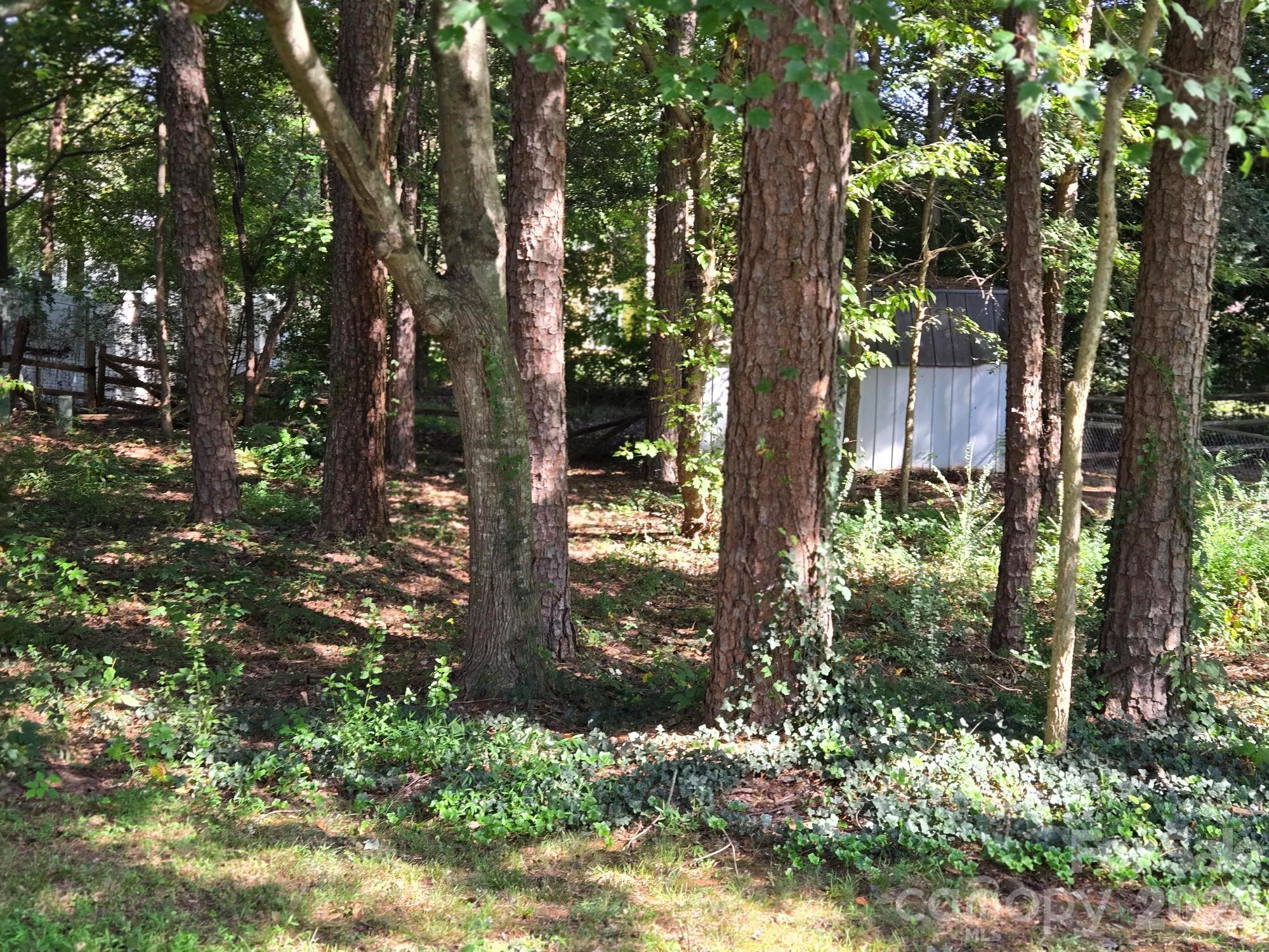 6214 Elkington Lane Property Photo 38
