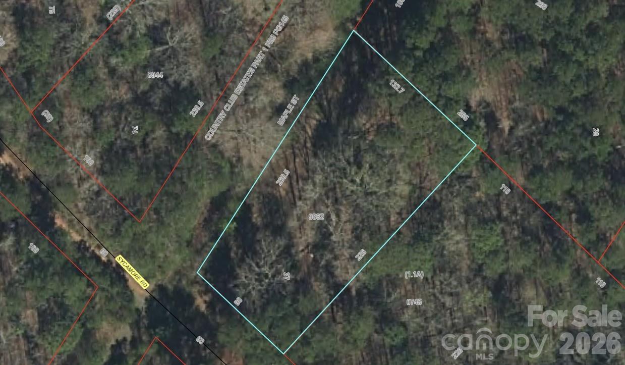 0 Maple Street Property Photo 1