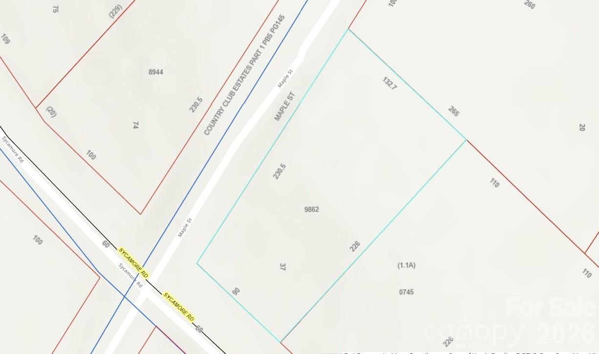 0 Maple Street Property Photo 2