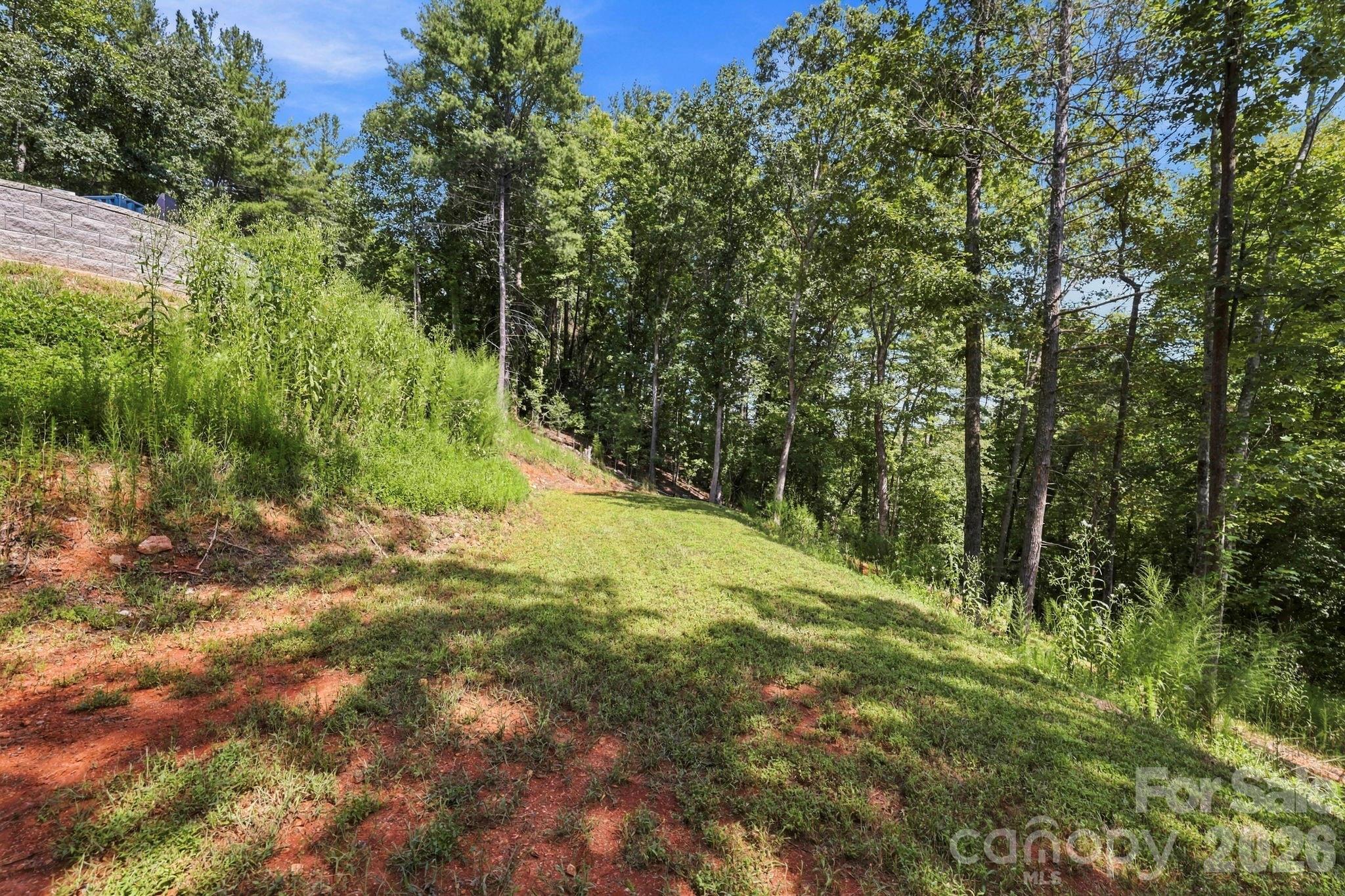 678 Forest Lake Heights Drive Property Photo 12