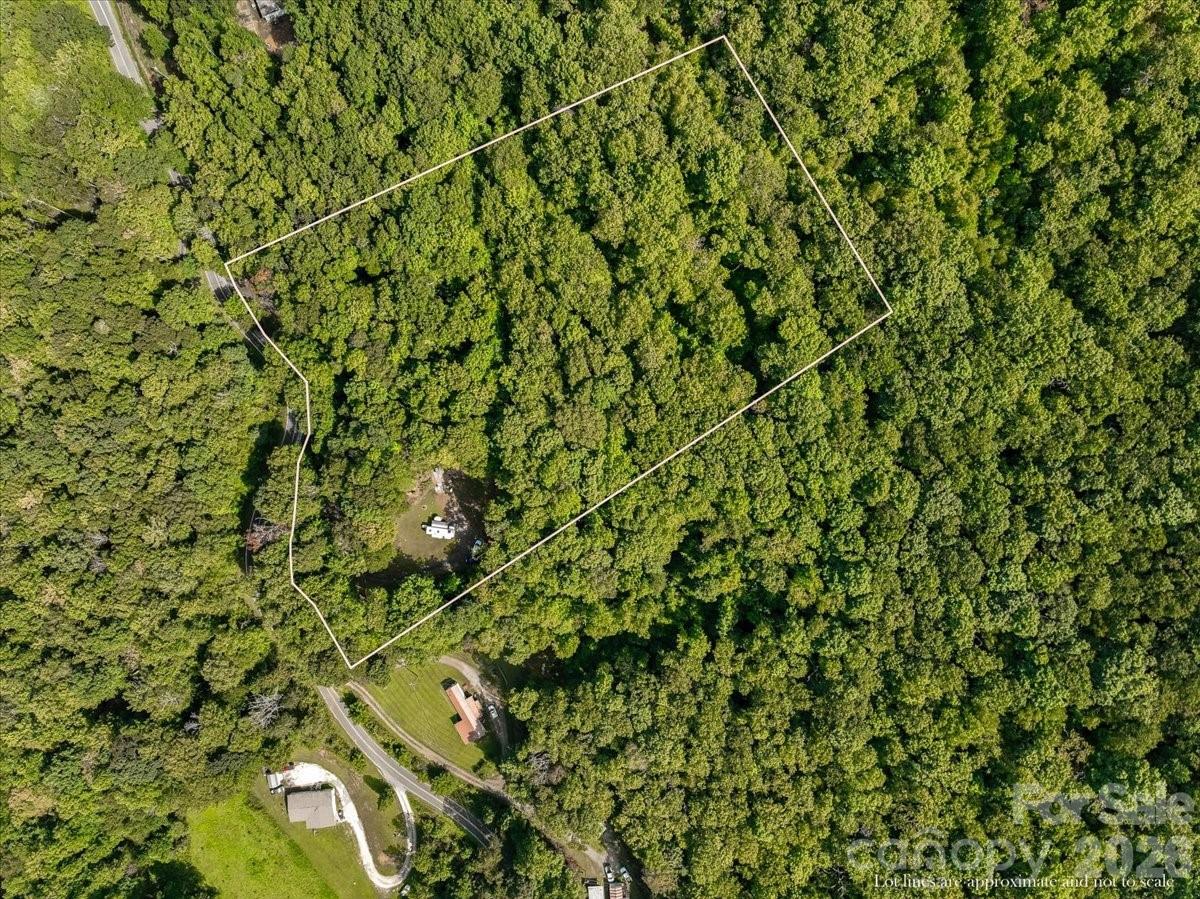 997 Hoot Owl Road Property Photo 3