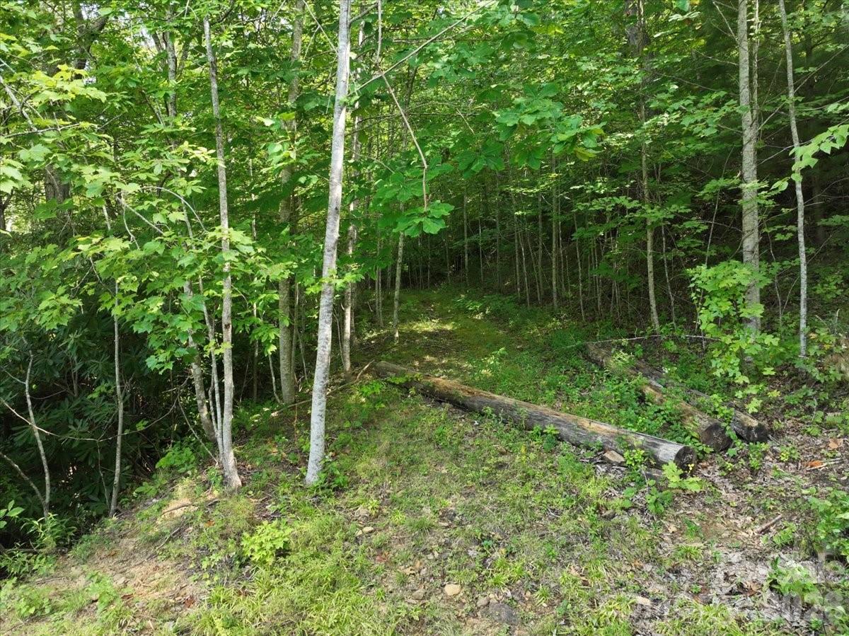 997 Hoot Owl Road Property Photo 26