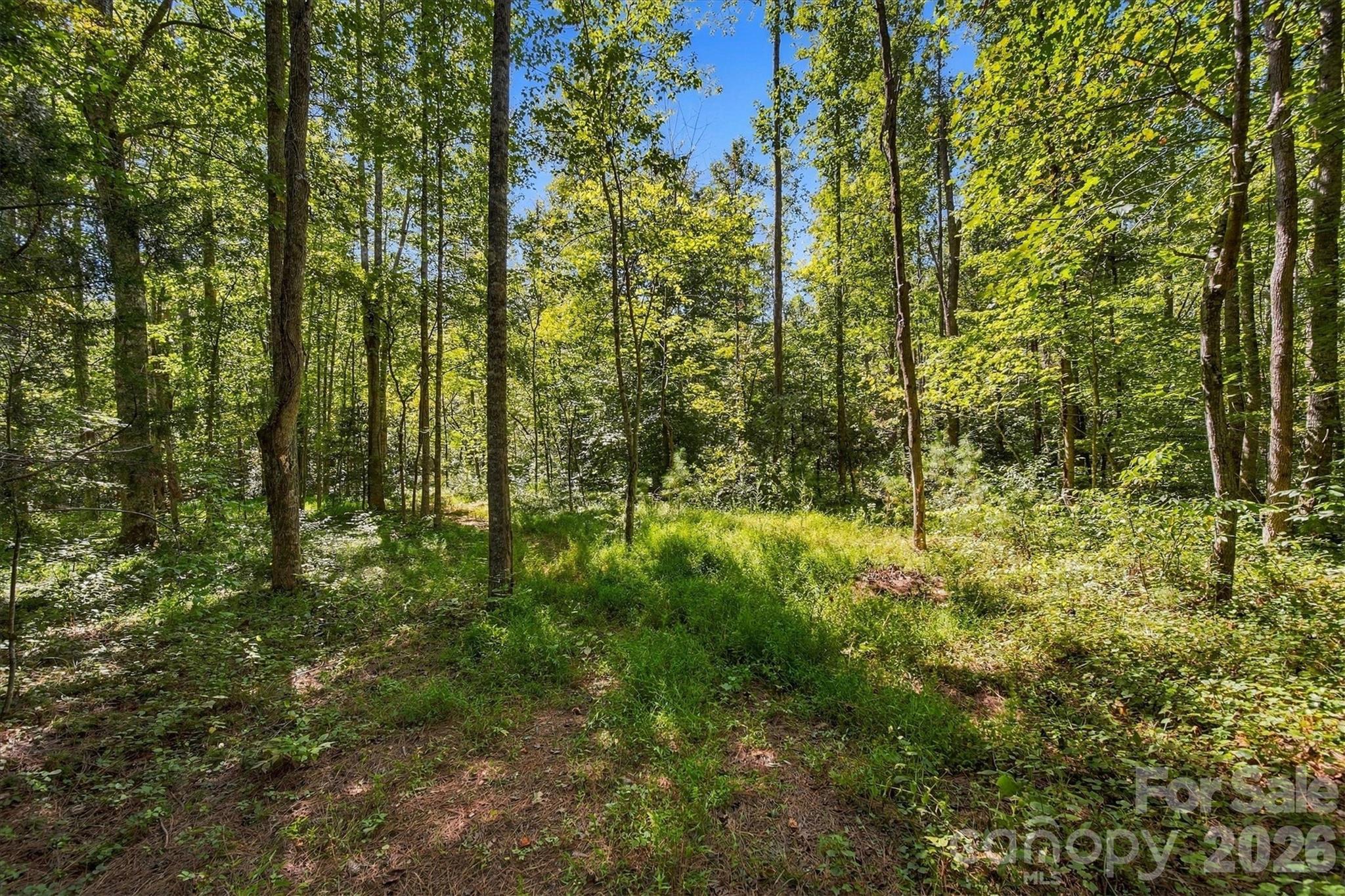 963 Double Eagle Drive Property Photo 44