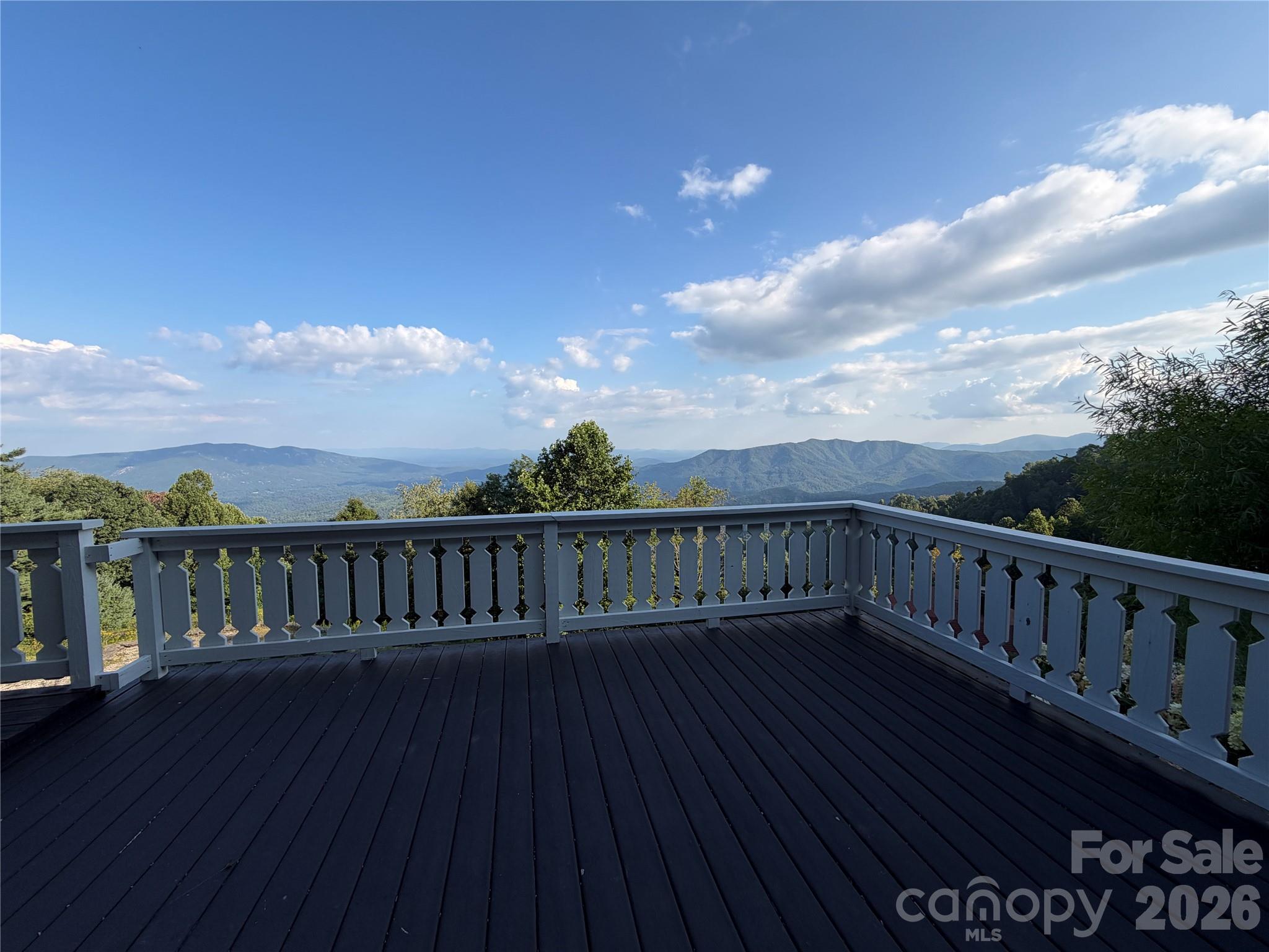 316 Grassy Mountain Road Property Photo 5
