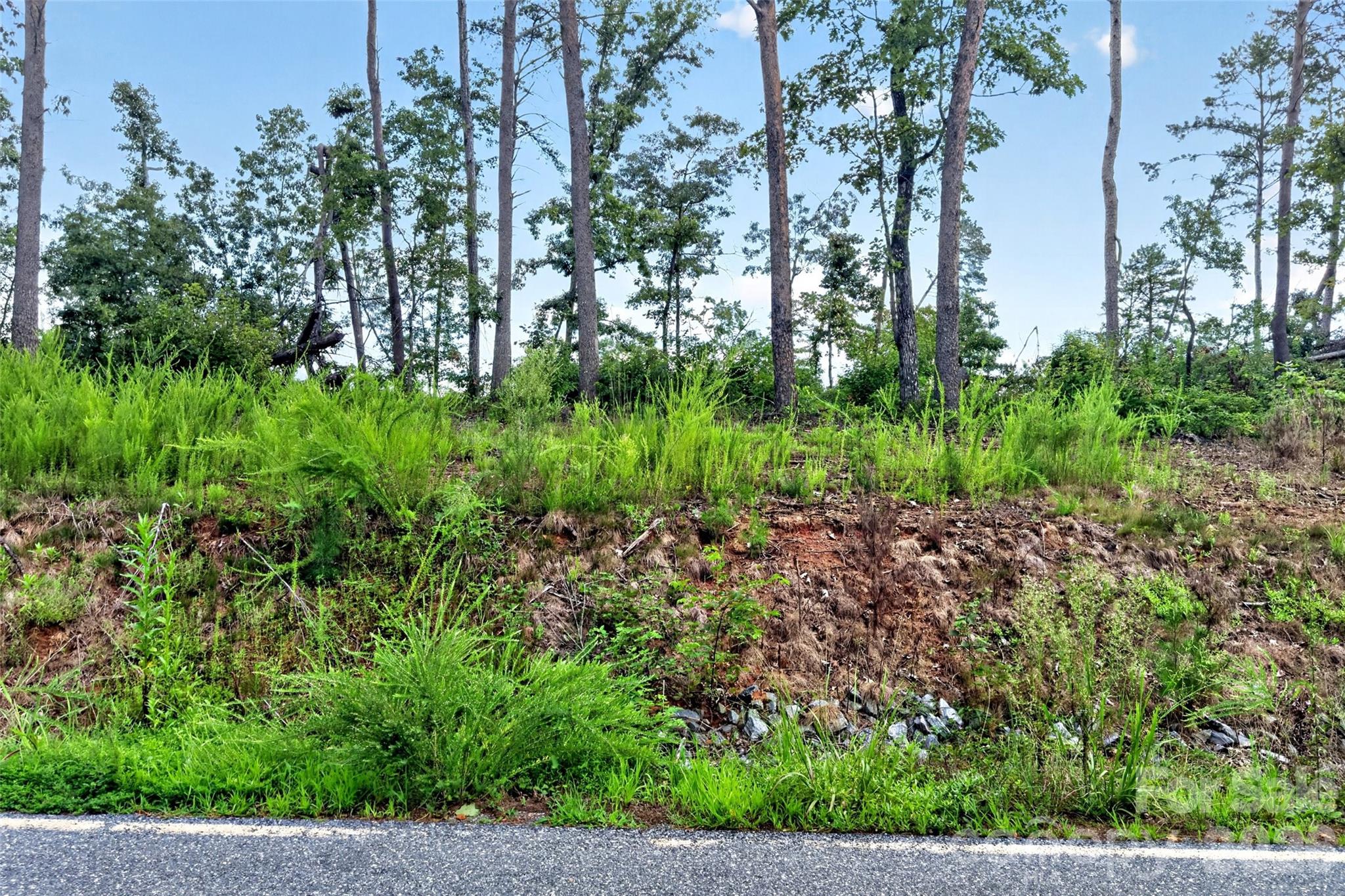 Tbd Boland Drive Property Photo 3
