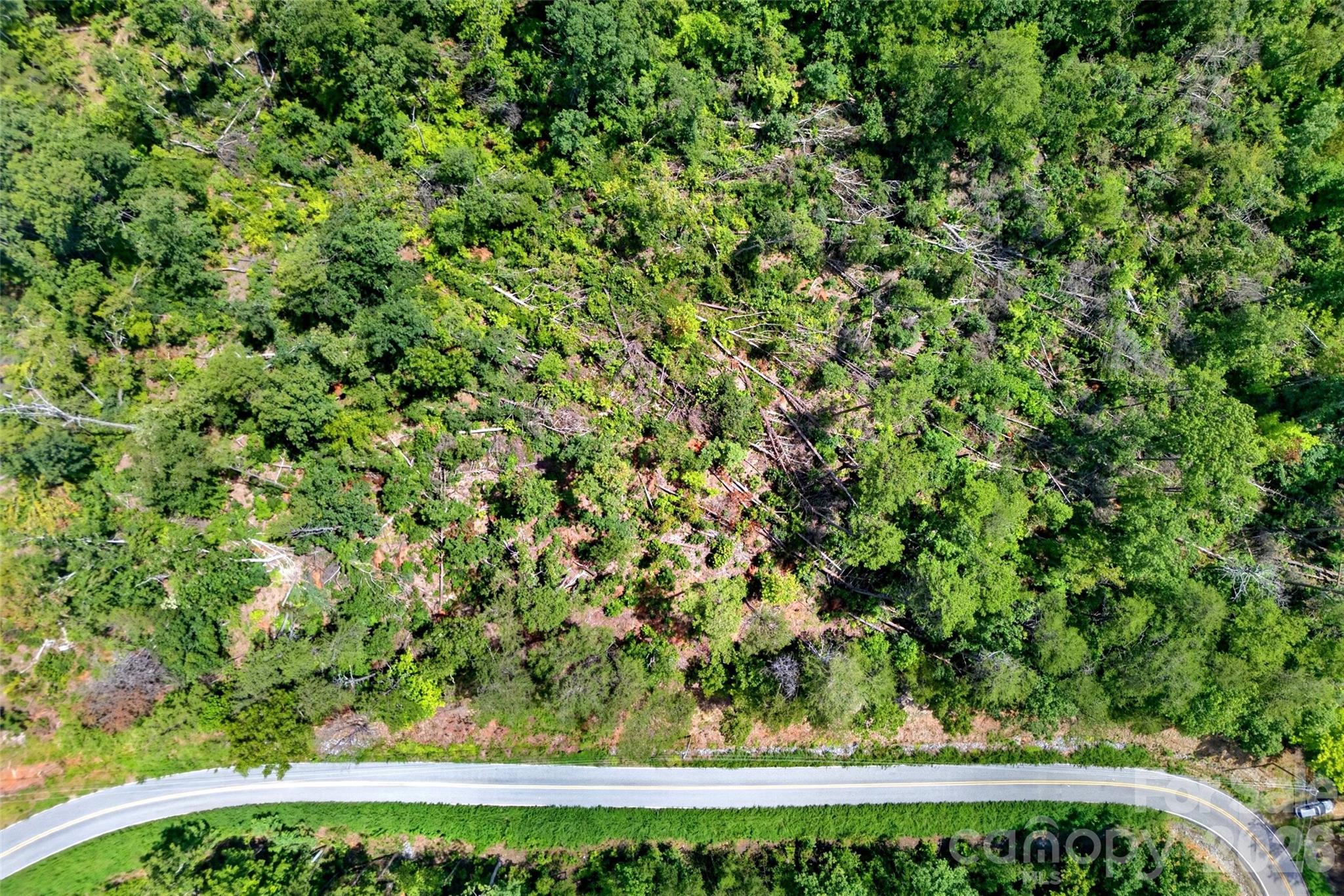 Tbd Boland Drive Property Photo 16