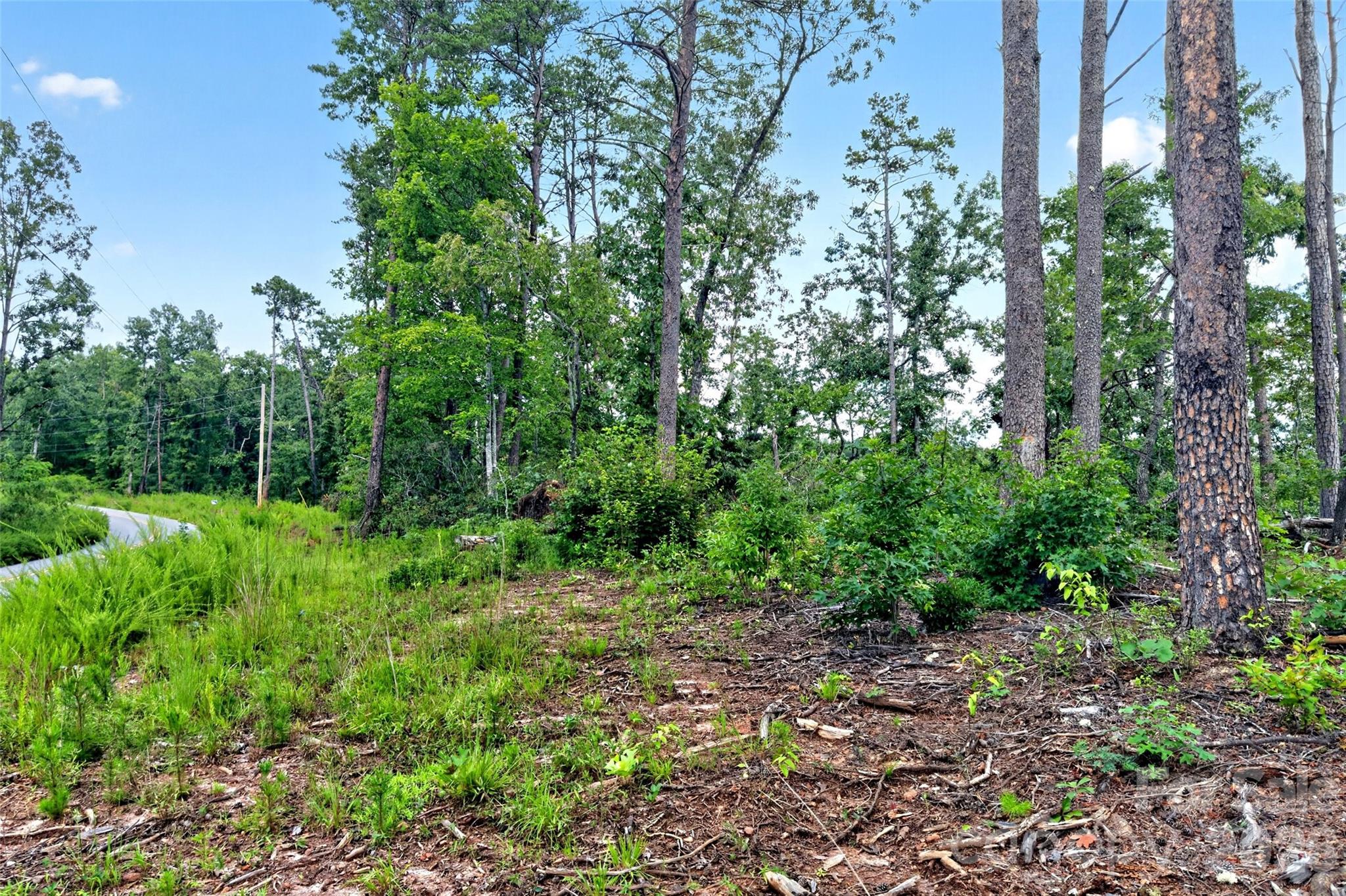 Tbd Boland Drive Property Photo 19